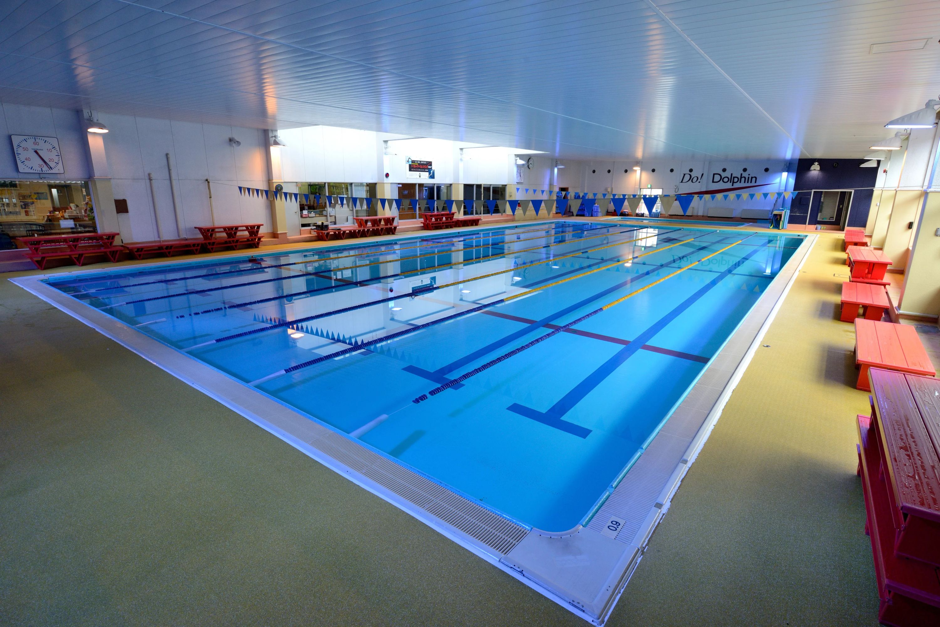 ドルフィンスイミングスクール 大蔵台教室のメイン画像
