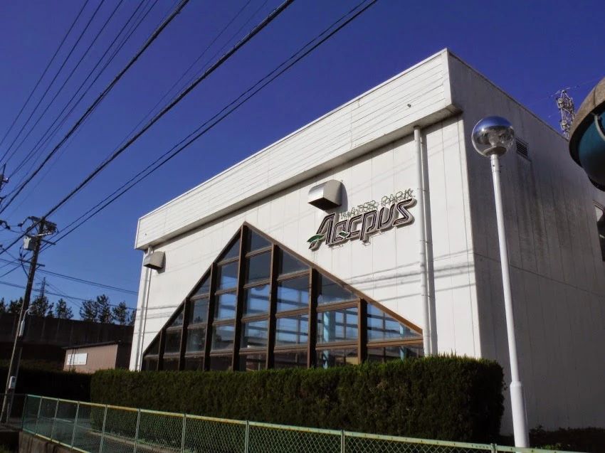 アクパス スイミング・水泳 小池町教室のメイン画像