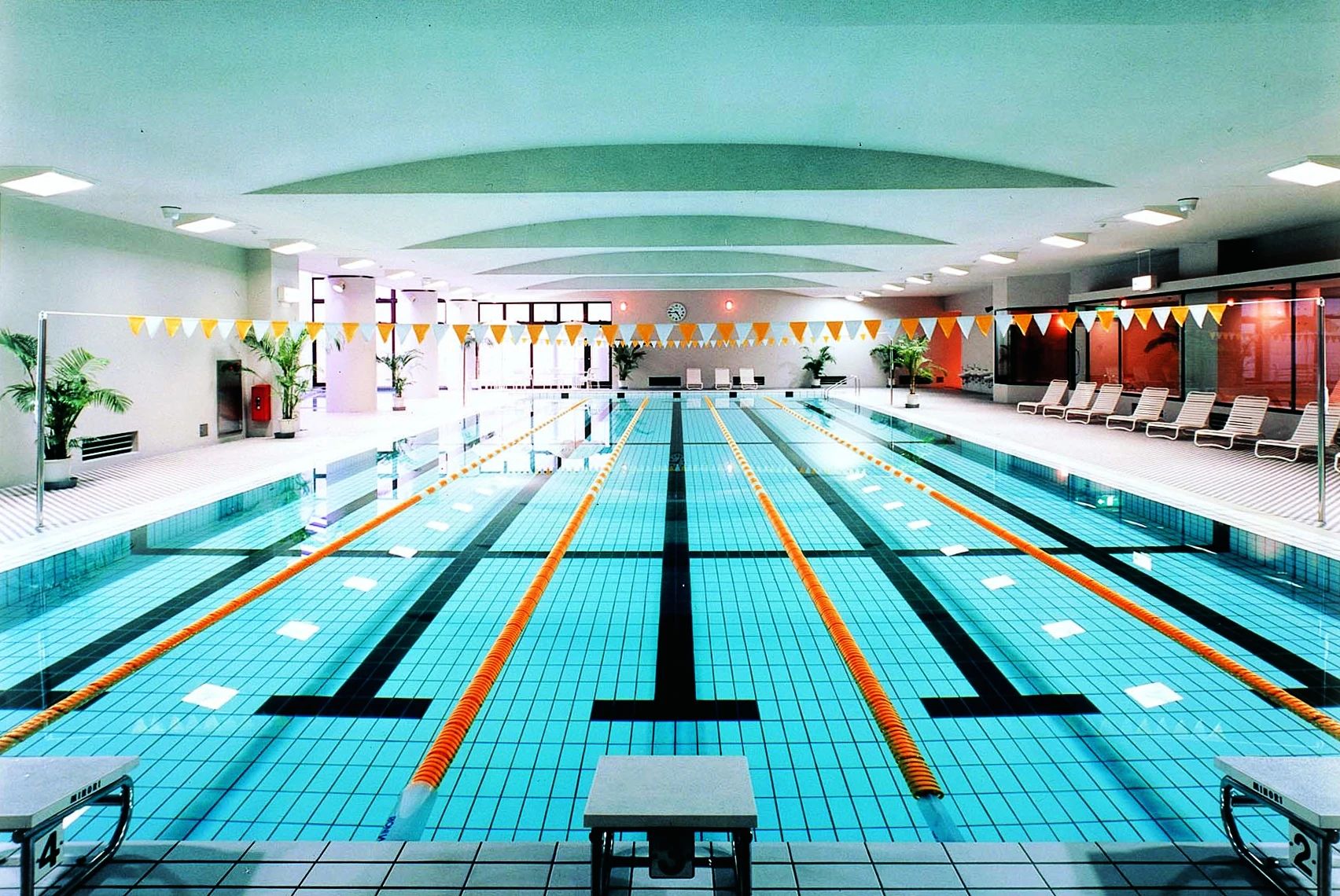 スポーツフィールド スイミング・水泳 サーラスポーツ浜松のサムネイル画像 2