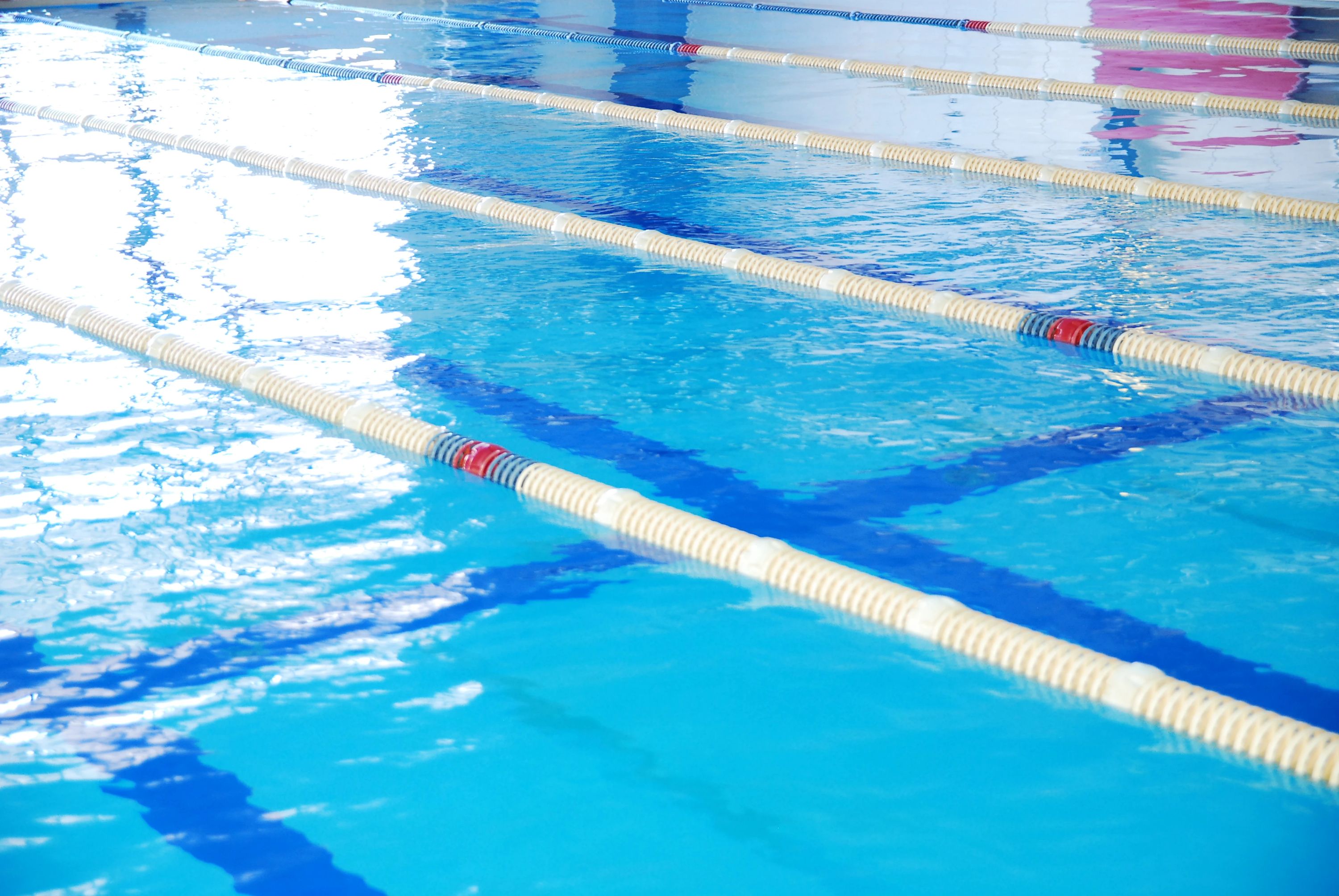 掛川スイミングスクール 大池教室のメイン画像