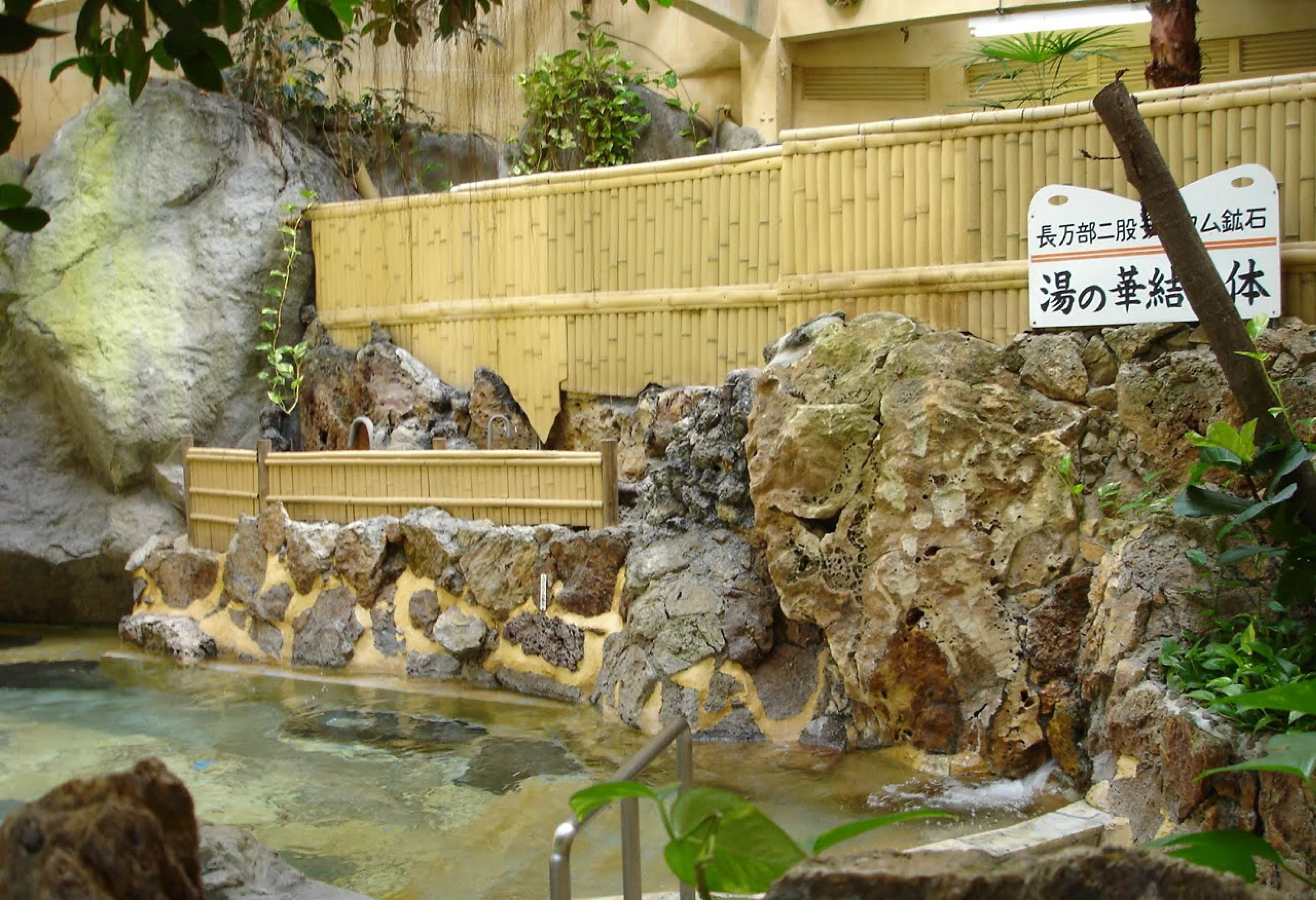 スソノスイミングスクール 茶畑教室のサムネイル画像 2