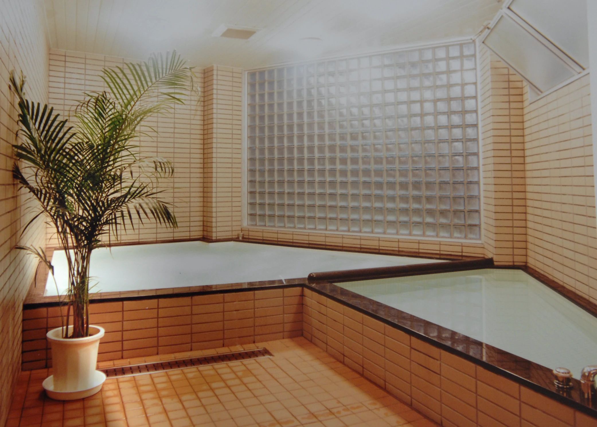 中田スイミングスクール 中田本町教室のメイン画像