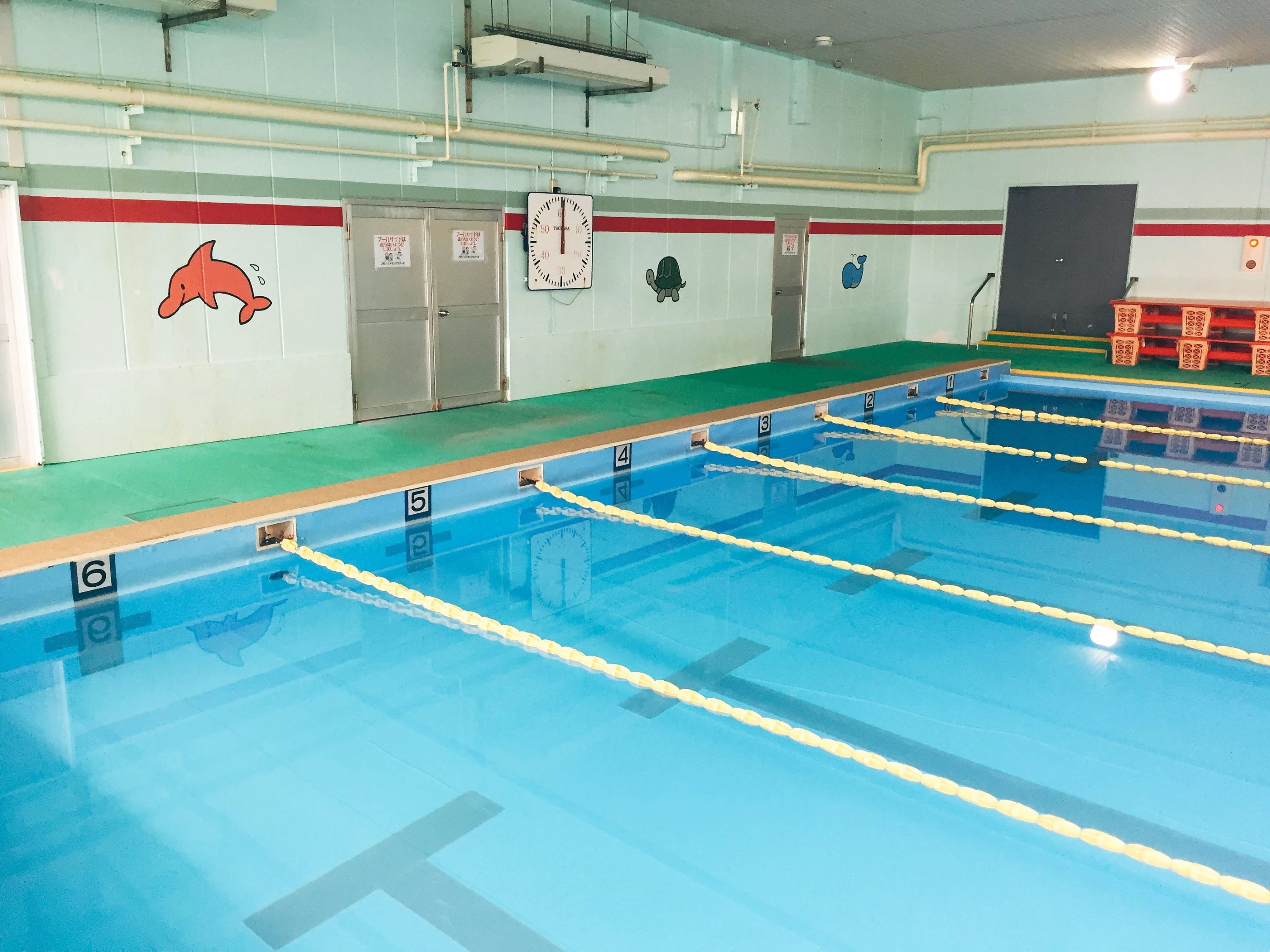 コモノ・スイミングスクールフィットネスクラブ スイミング・水泳 菰野町教室のサムネイル画像 5