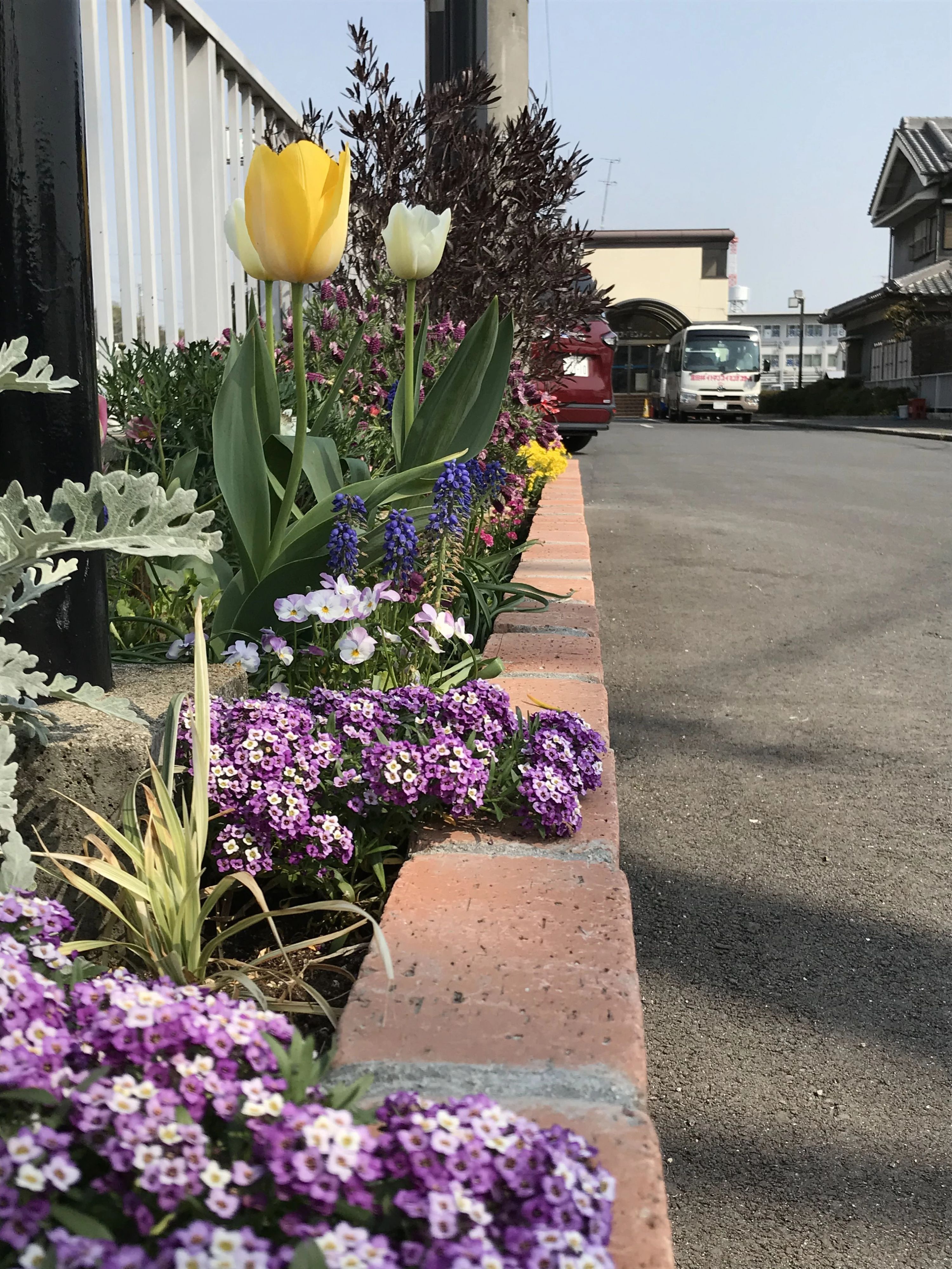 富田林イトマンスイミングスクール 若松町教室のサムネイル画像 4
