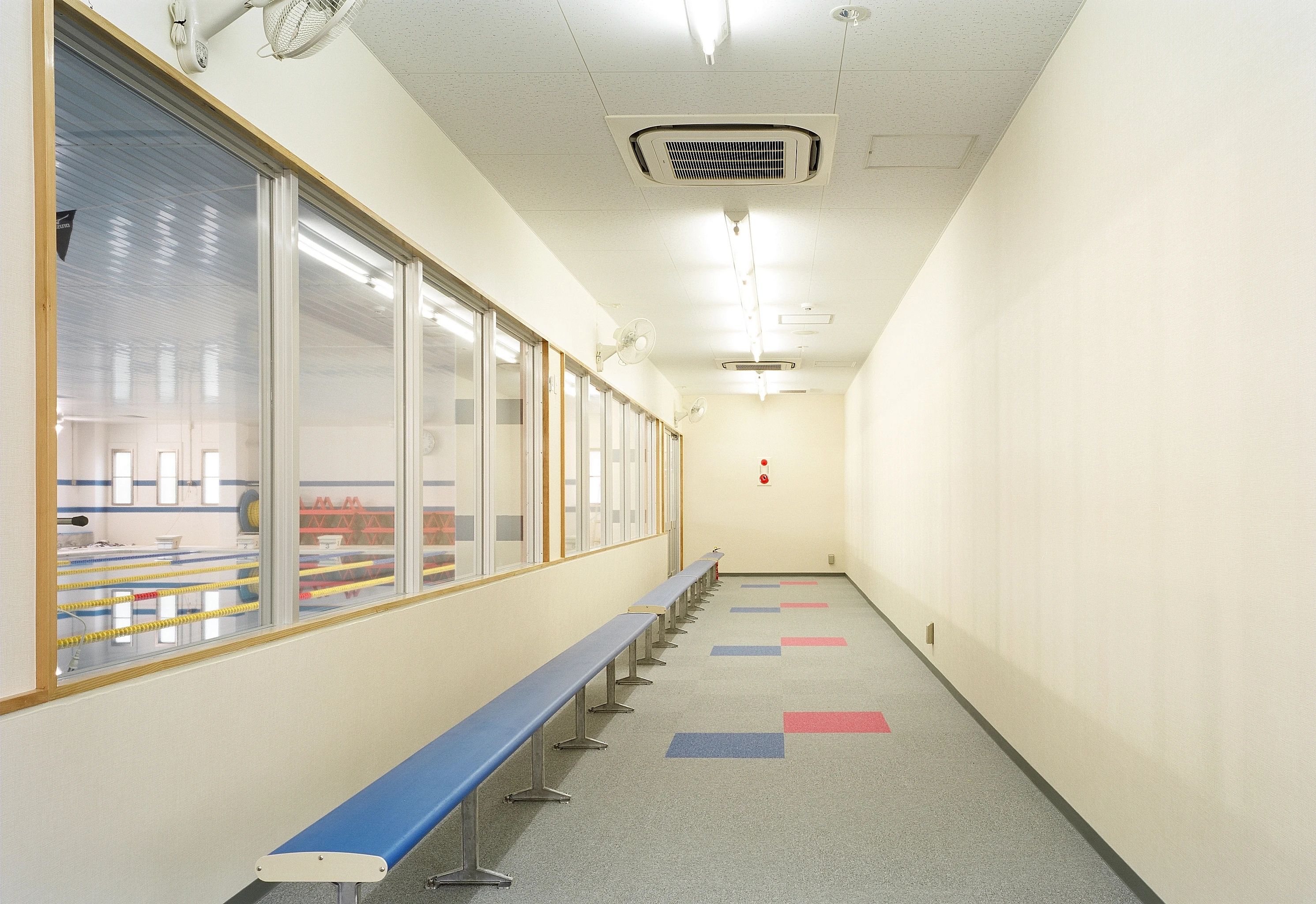 ひばりスイミングスクール 寺田町教室のサムネイル画像 2