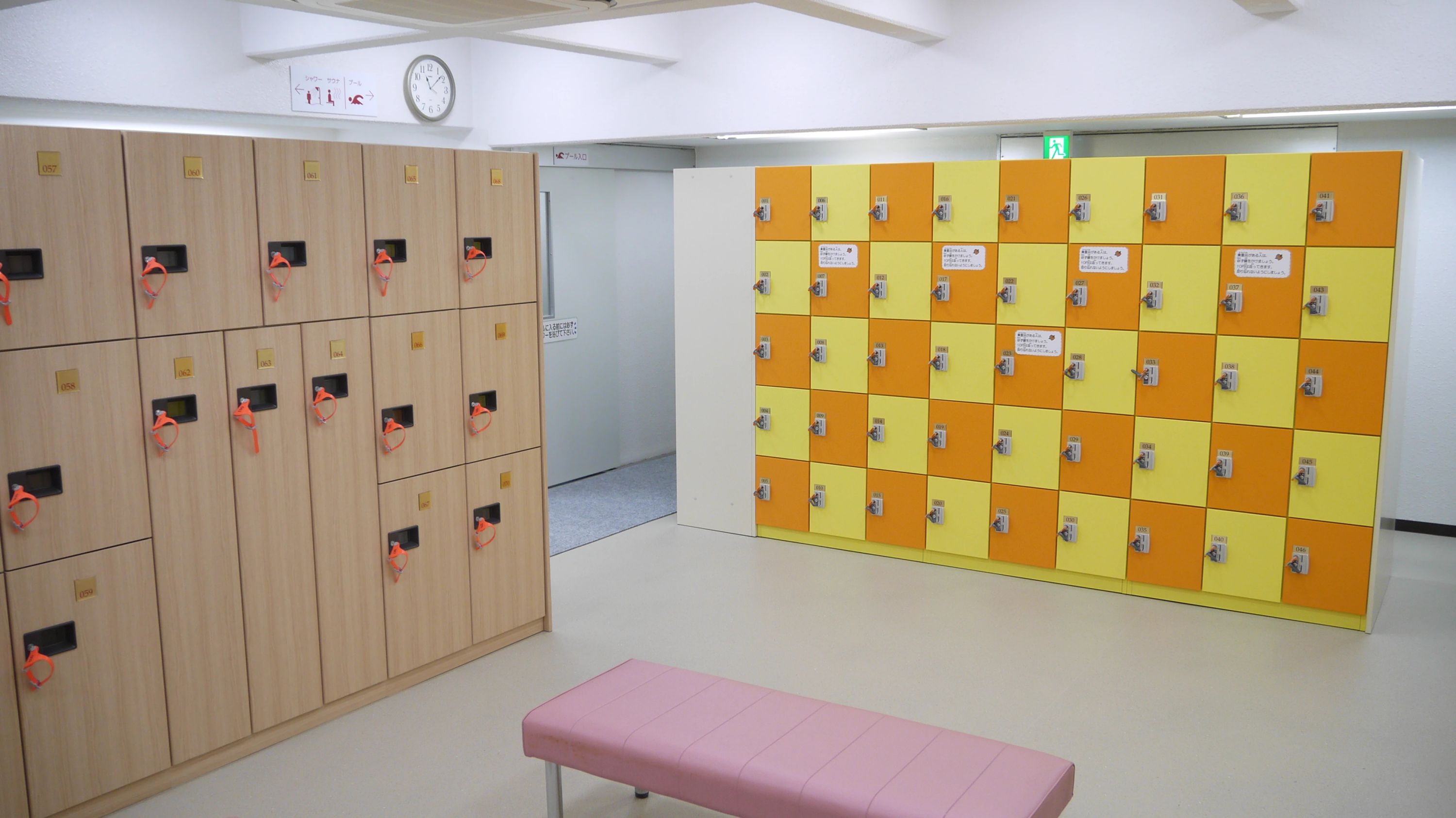 枚方スイミングスクール・枚方フィットネスクラブ スイミング・水泳 香里のメイン画像