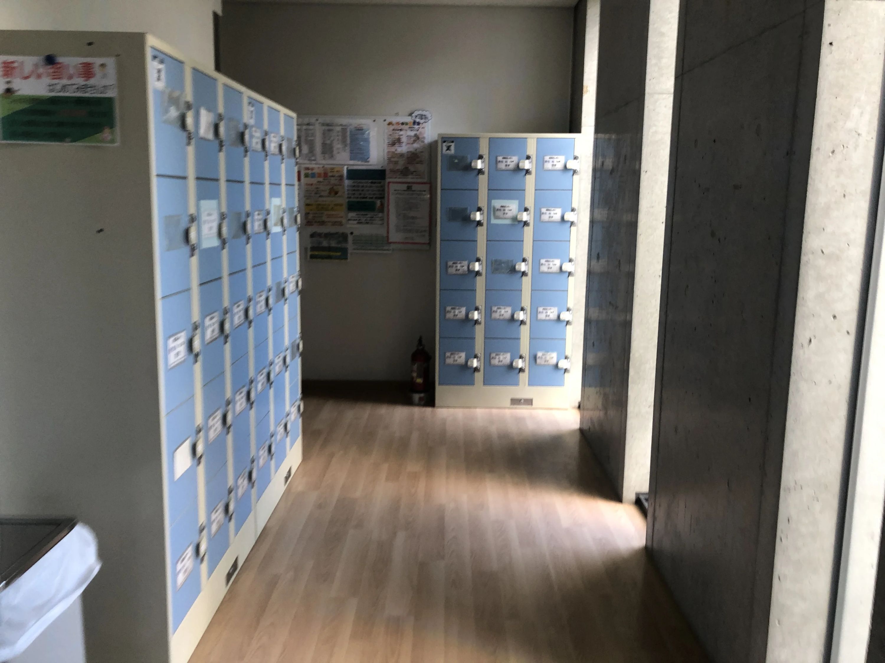 HollyEIWA(ハリーえいわ) スイミング・水泳 永和教室のサムネイル画像 5