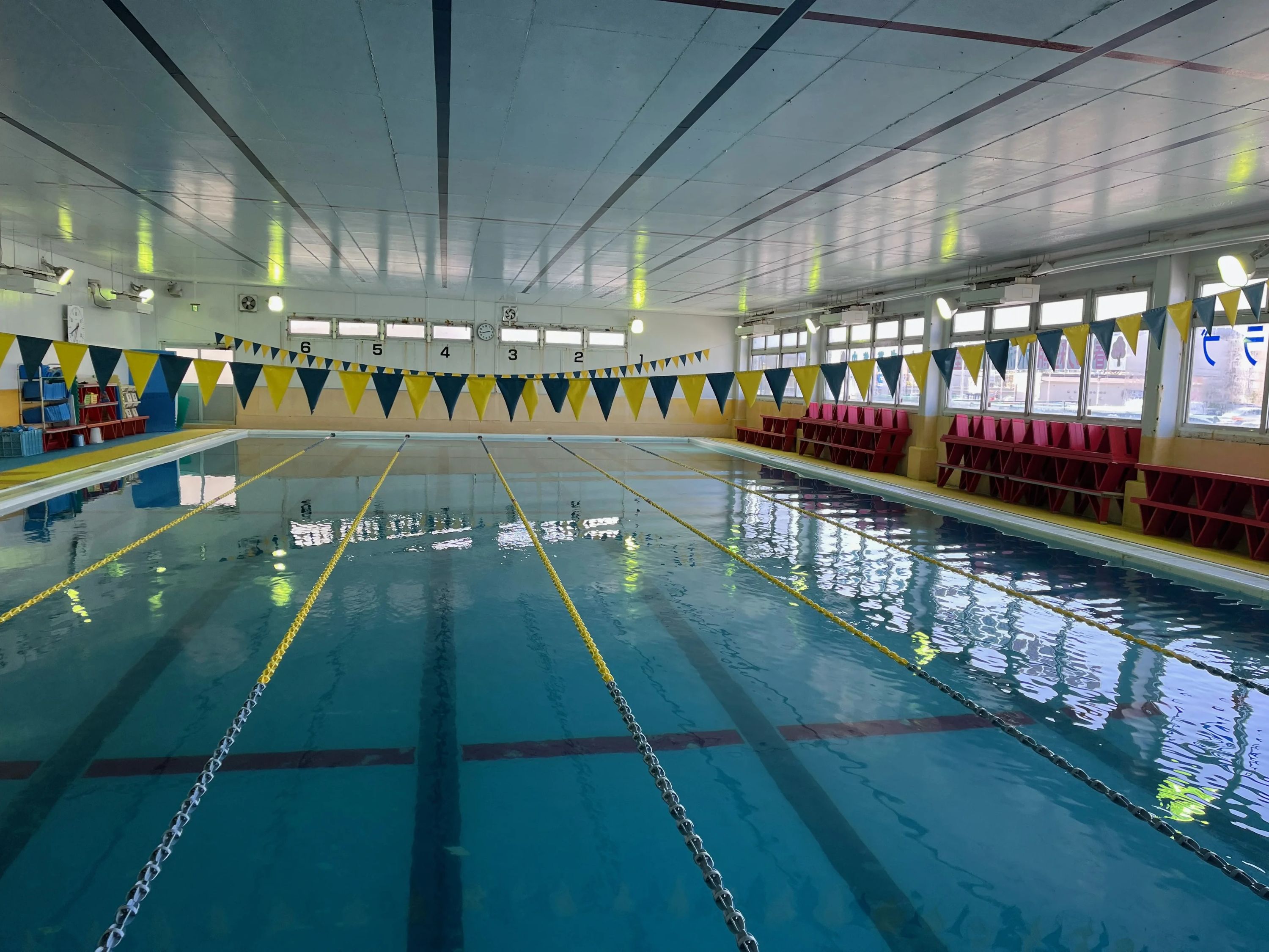 履正スイミングクラブ 金剛スクールのサムネイル画像 2