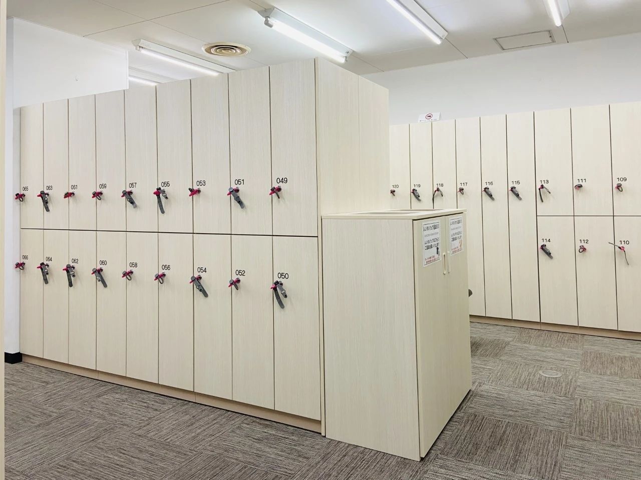 東急スポーツオアシス スイミング・水泳 江坂24Plusのサムネイル画像 3