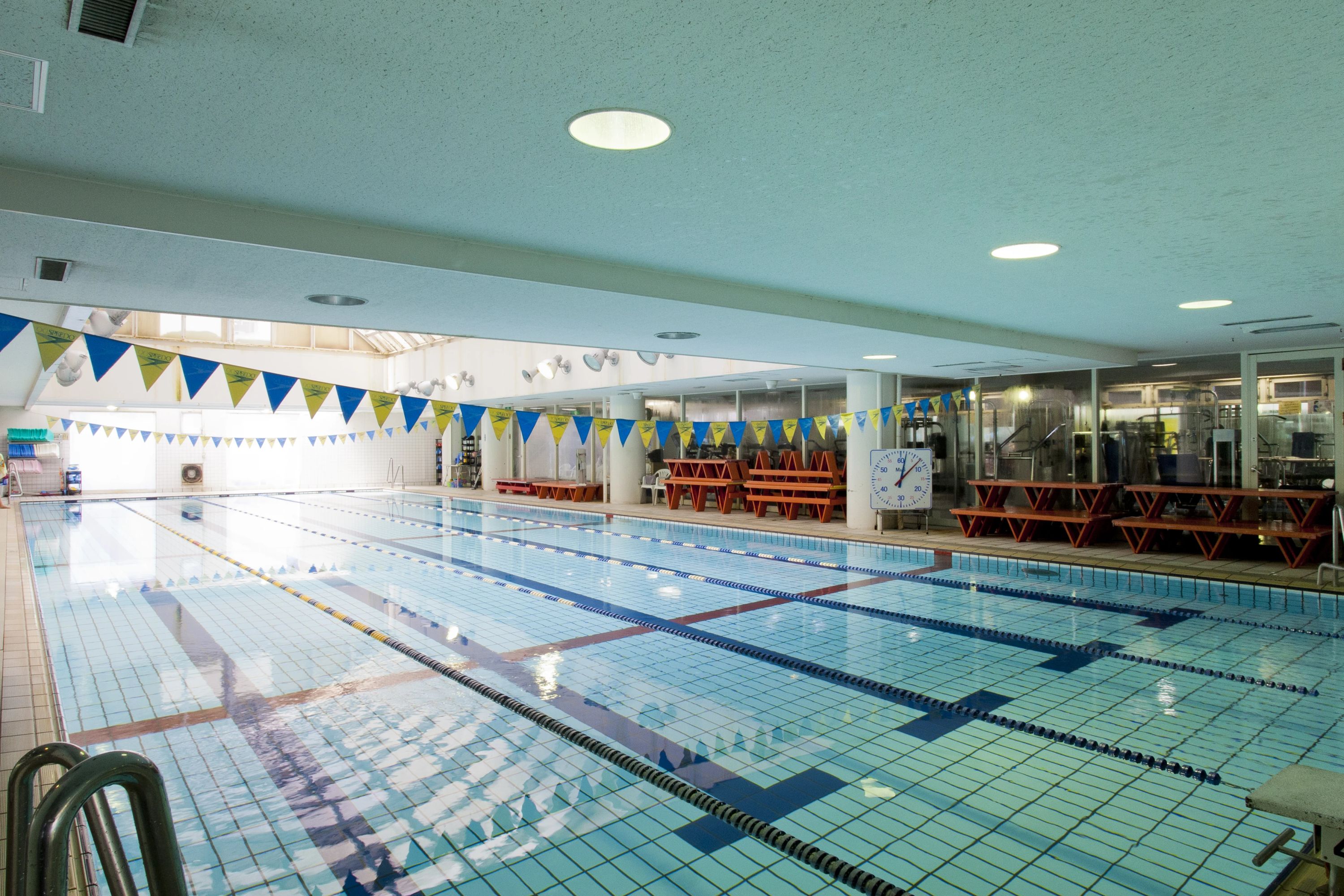 サンケイSTスイミングスクール 堀越町教室のサムネイル画像 5