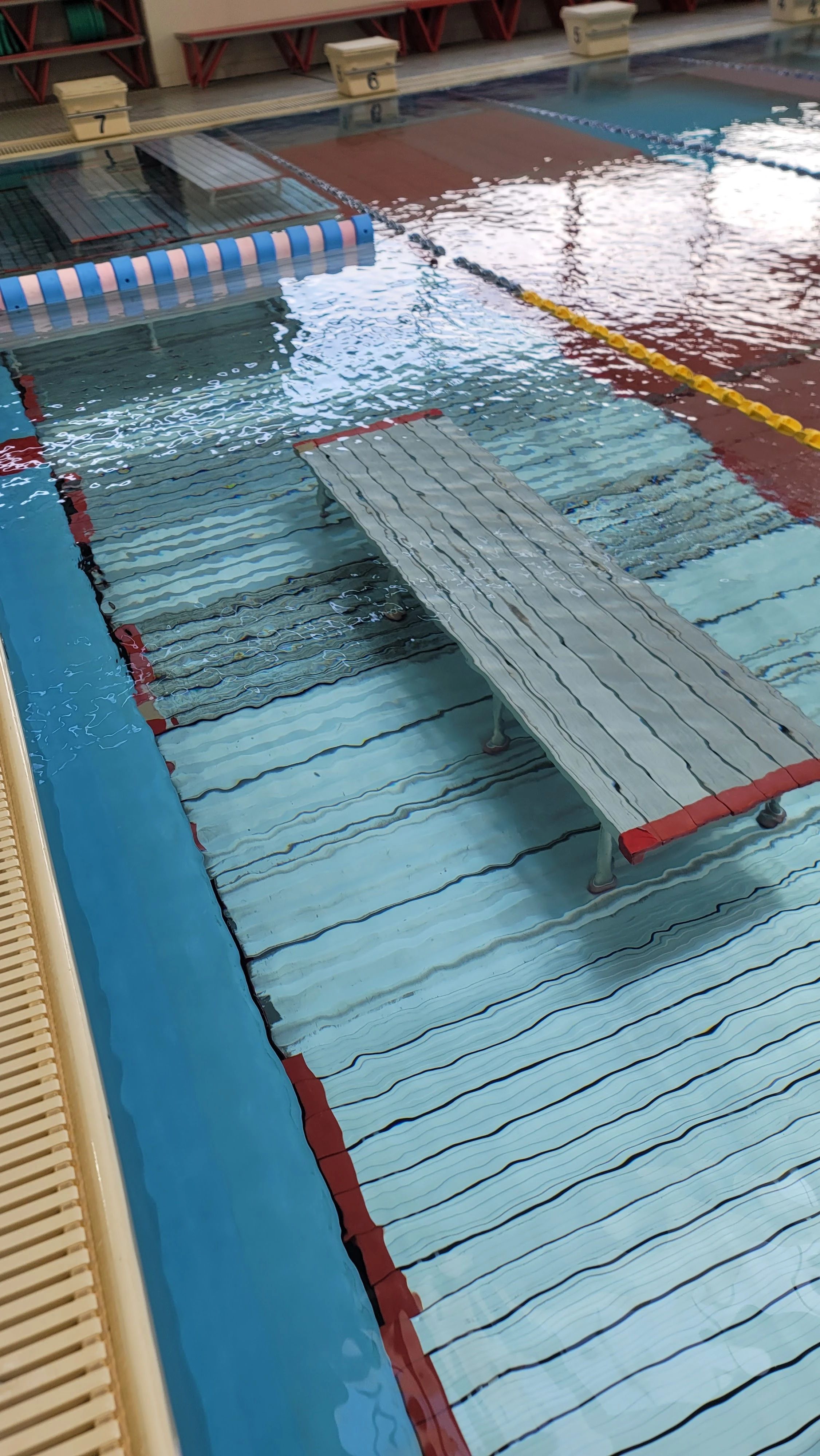 N.S.I スイミング・水泳 神鉄スイミングスクールのサムネイル画像 5