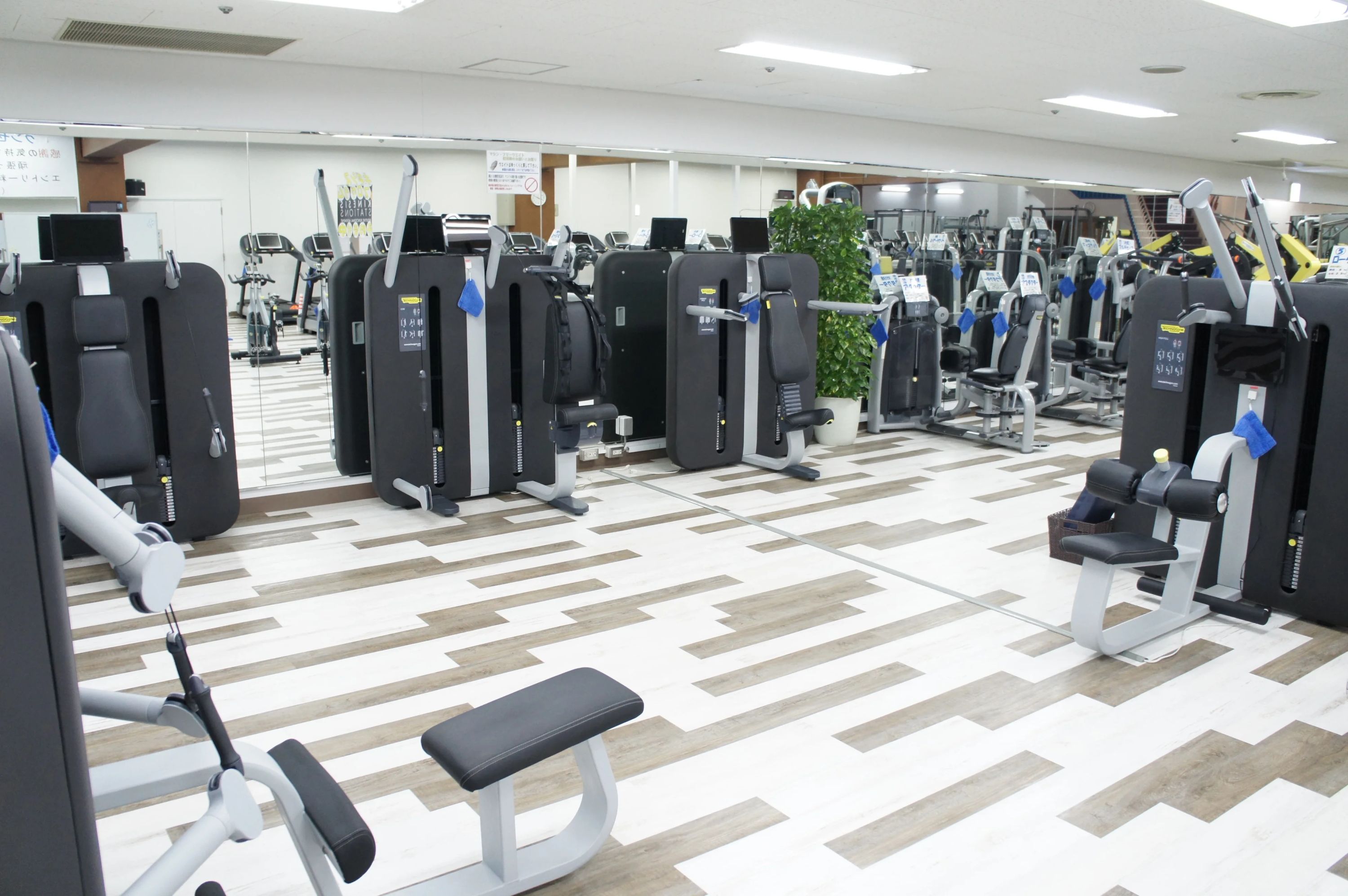 グンゼスポーツ スイミング・水泳 つかしんのサムネイル画像 2