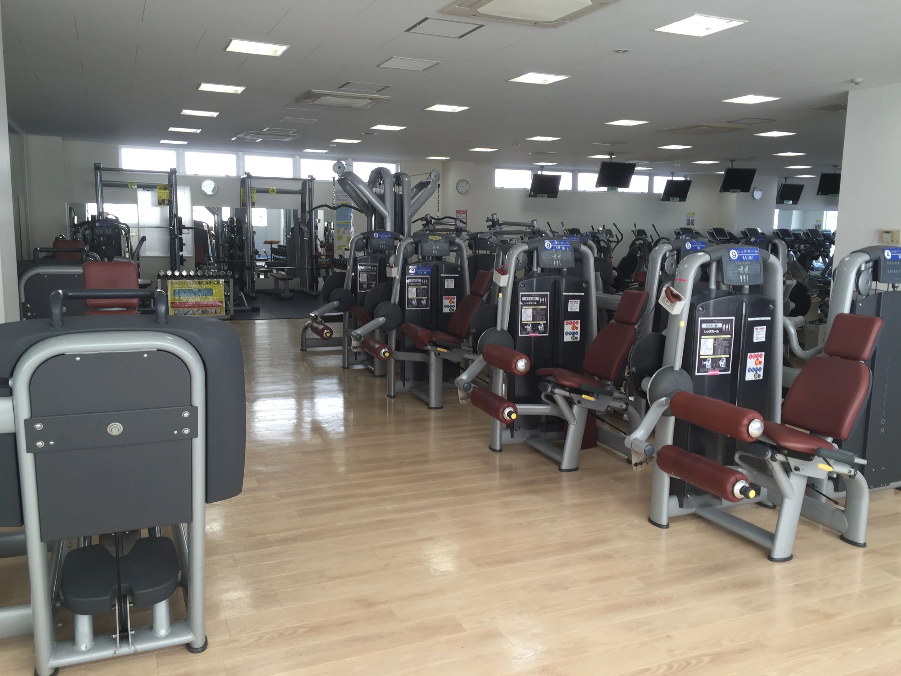 グンゼスポーツ スイミング・水泳 西明石のサムネイル画像 5