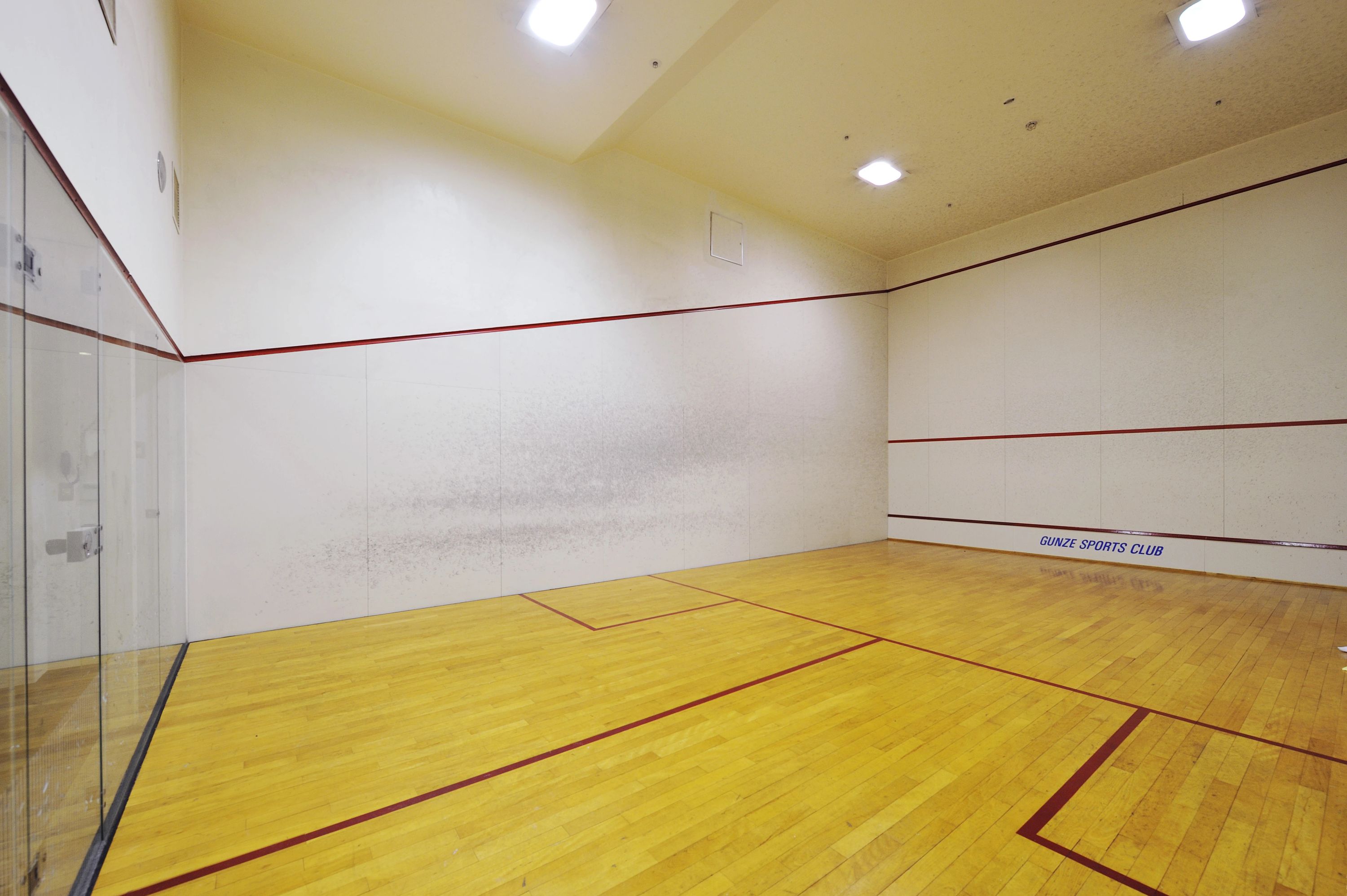 グンゼスポーツ スイミング・水泳 川西のサムネイル画像 4