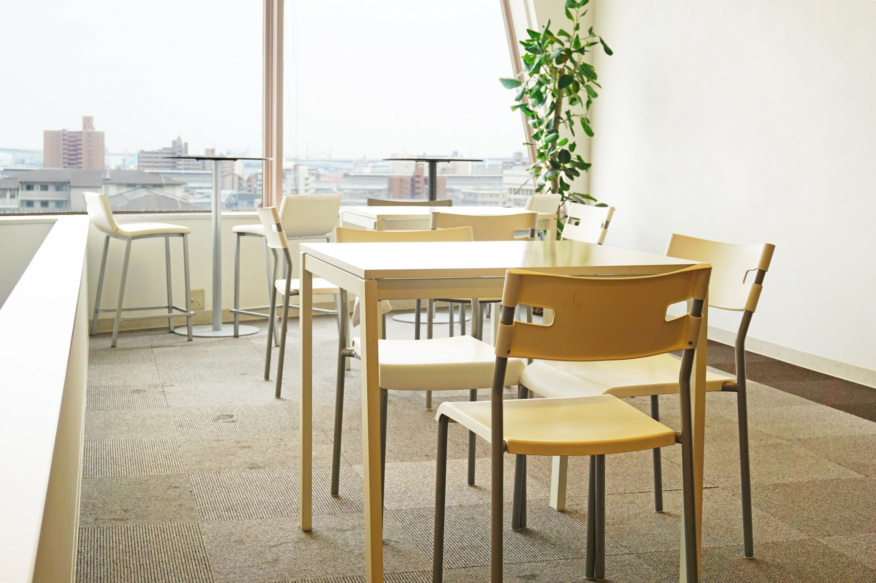 TRIAXIS スイミング・水泳 甲南山手のサムネイル画像 5