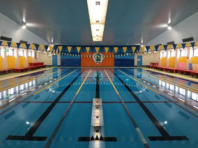 長岡スイミング・スクール 開田教室のメイン画像