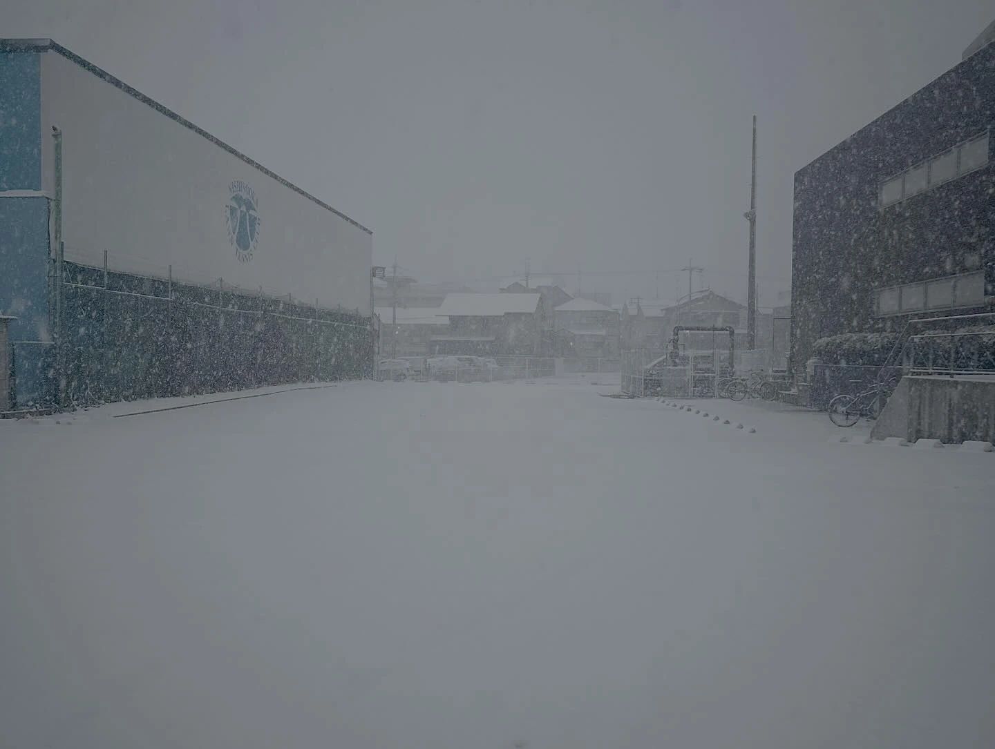 N.S.I スイミング・水泳 マナティスイミングスクール向日市のサムネイル画像 3