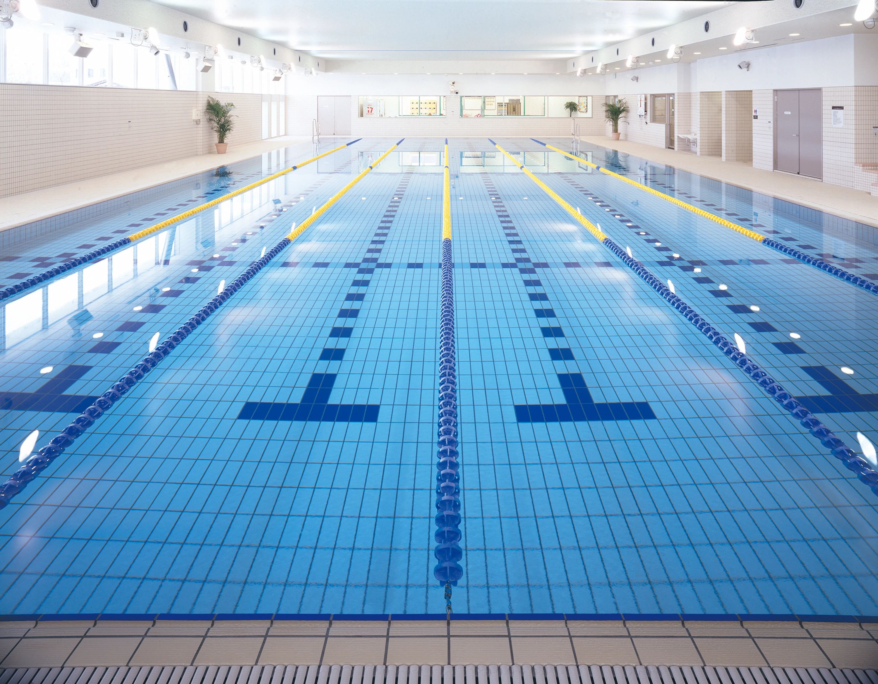 COSPA(コ・ス・パ) スイミング・水泳 松井山手24のサムネイル画像 4