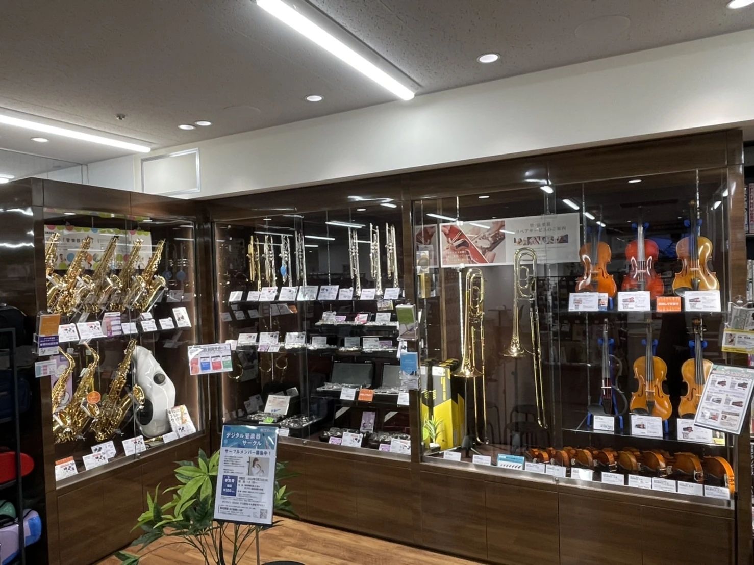 島村楽器の音楽教室 京王聖蹟桜ヶ丘店 キッズヴォーカルのサムネイル画像 5