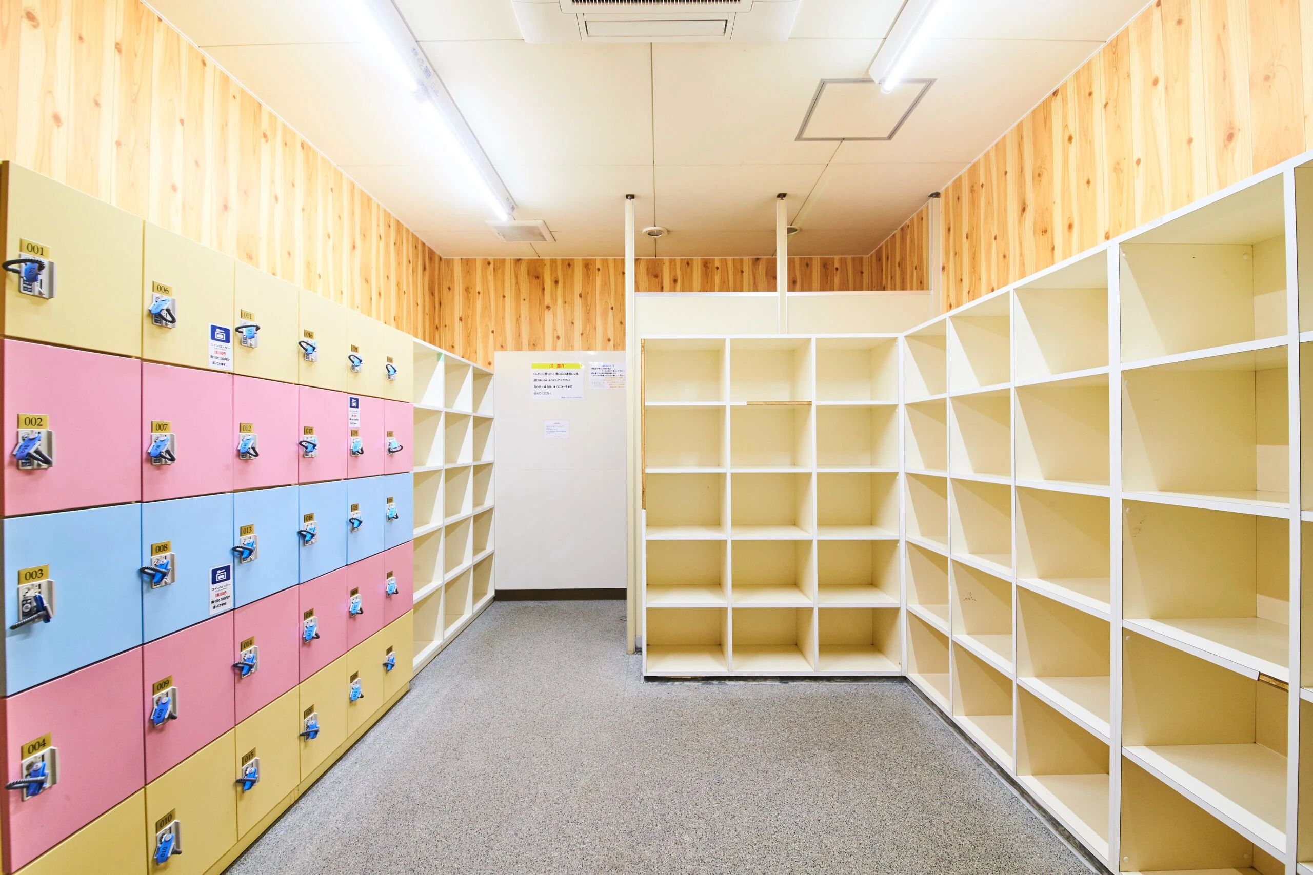 IZUMI21 スイミング・水泳 草津イトマンフィットネスクラブのサムネイル画像 5