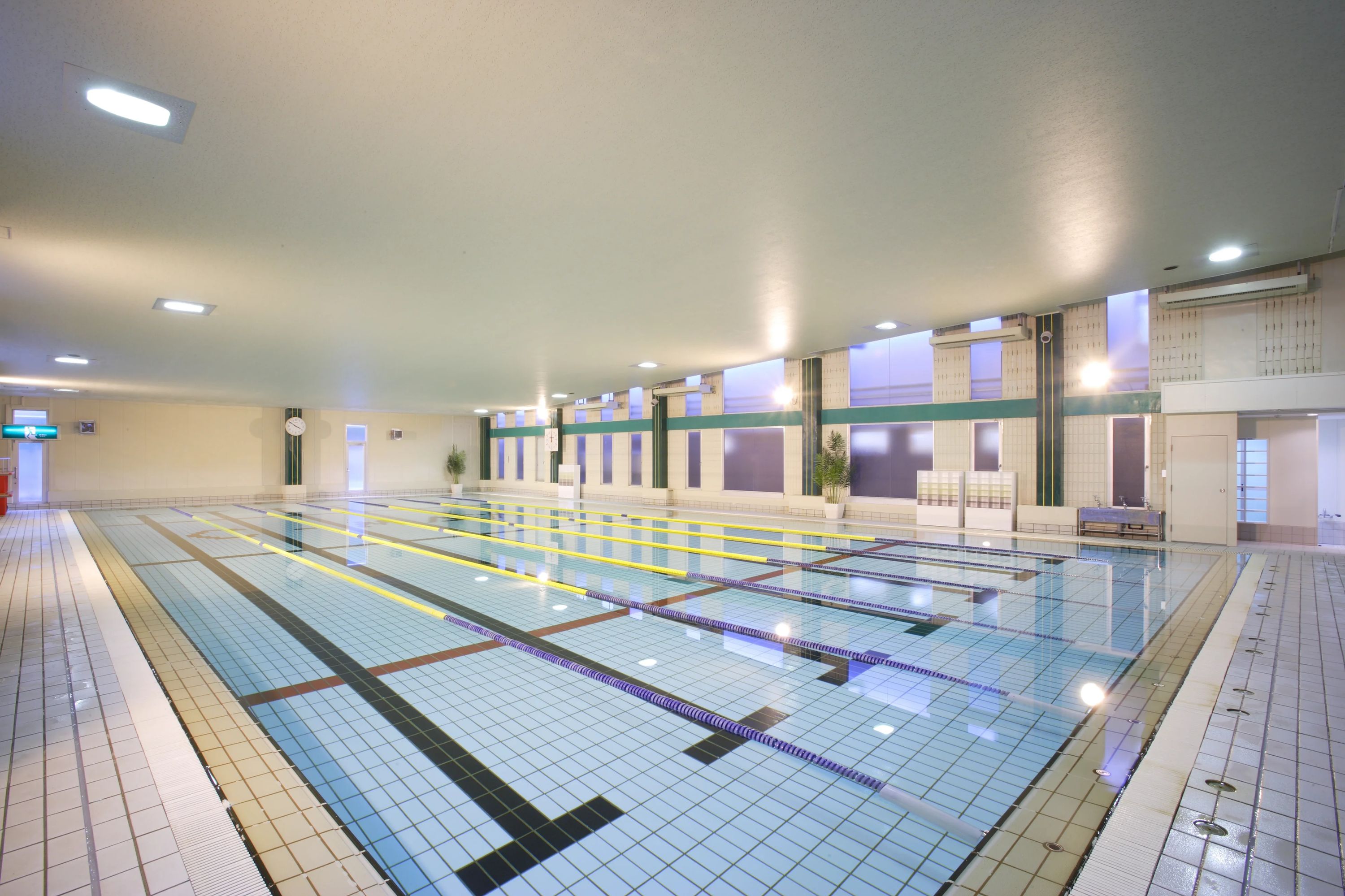 エル・アテインスイミングスクール 彦根のメイン画像