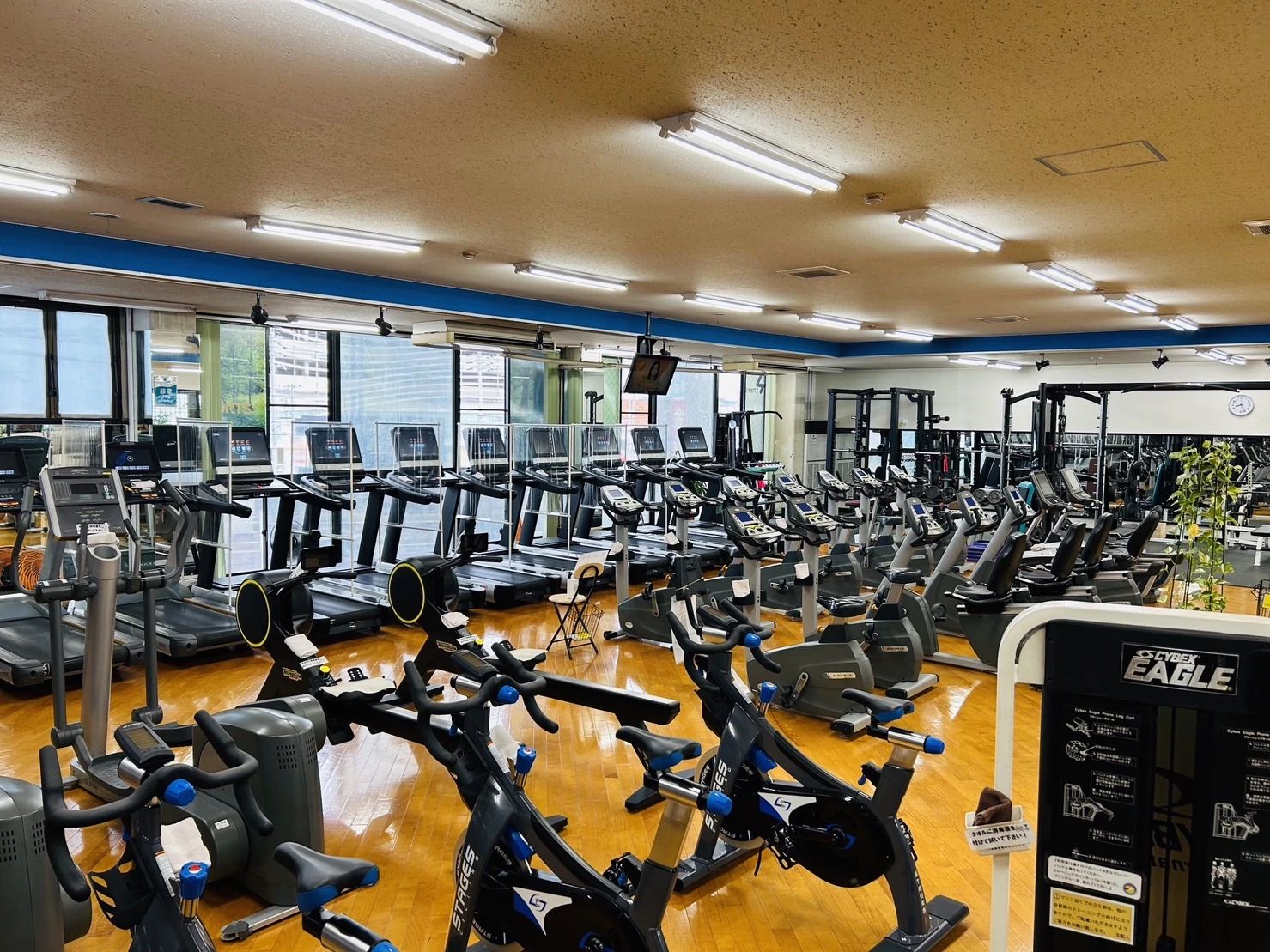 RSC(レイスポーツクラブ) スイミング・水泳 レイスポーツクラブ岡山のサムネイル画像 4