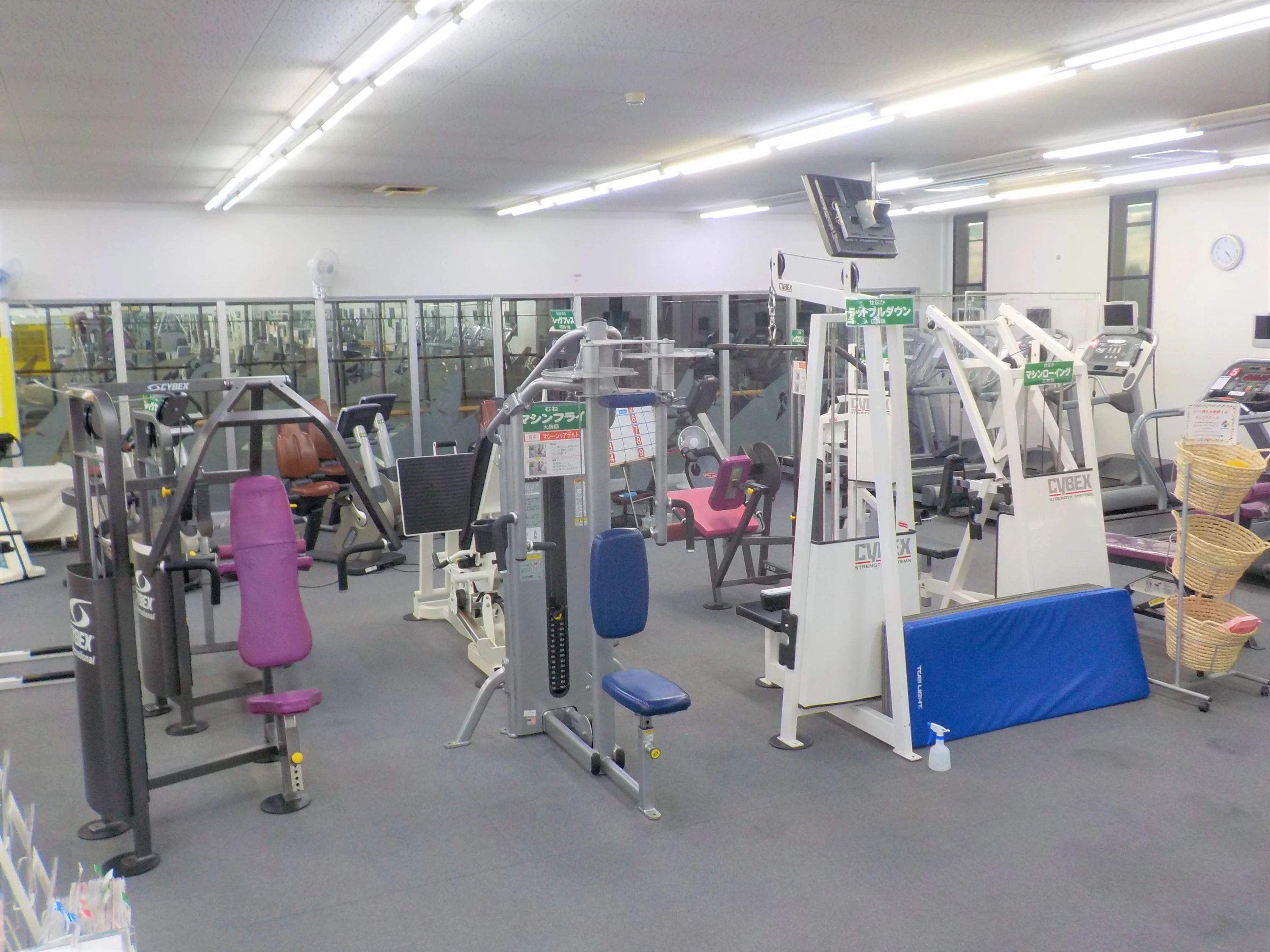 OSK (オーエスケー)SPORTS CLUB スイミング・水泳 藤原のサムネイル画像 4