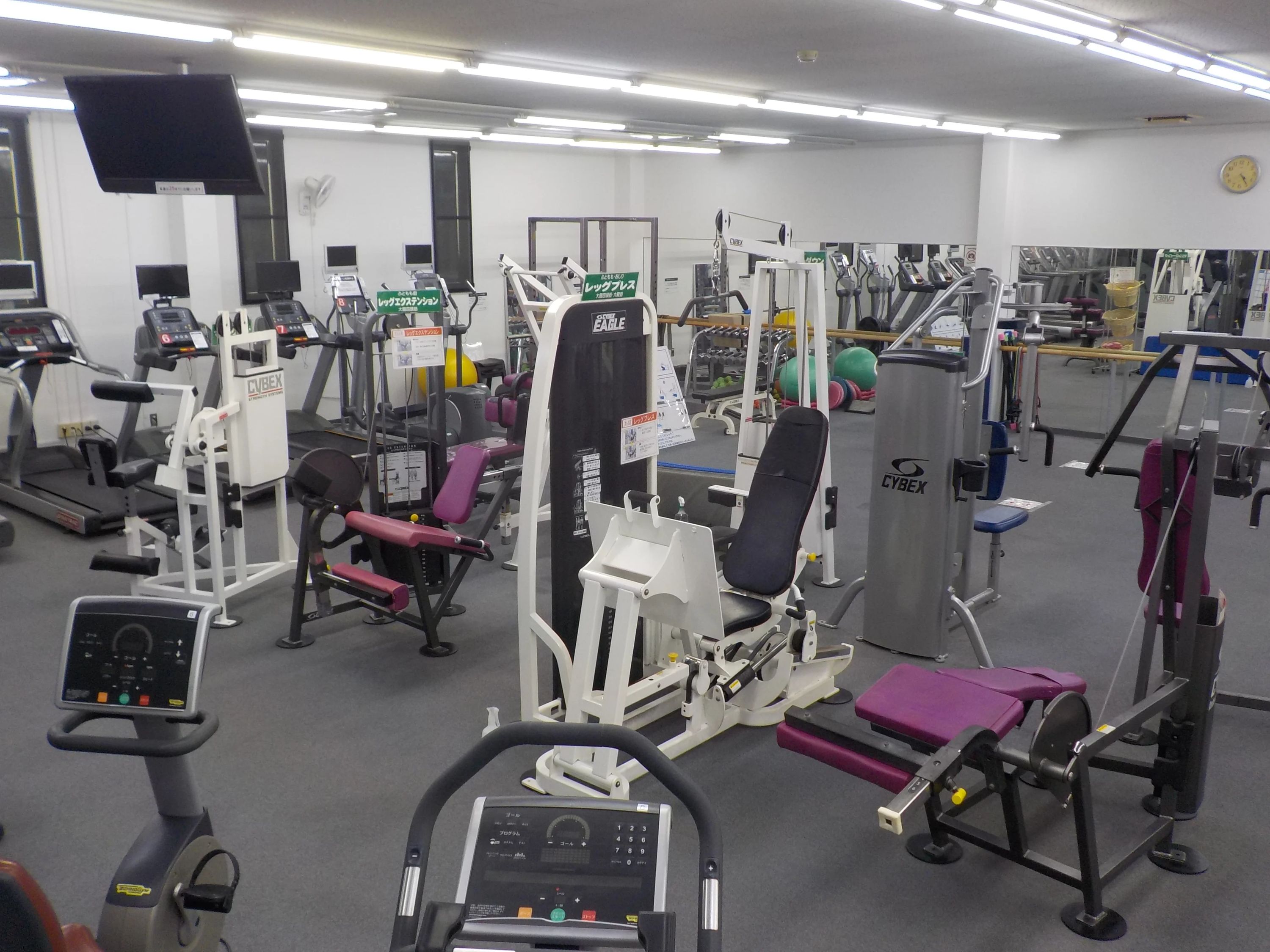 OSK (オーエスケー)SPORTS CLUB スイミング・水泳 藤原のサムネイル画像 5