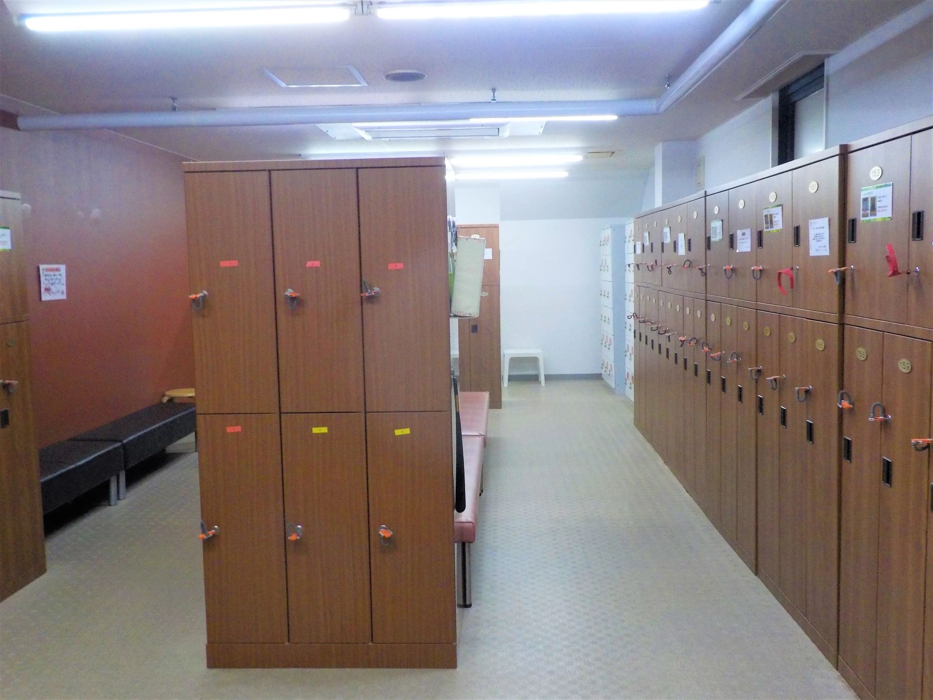 OSK (オーエスケー)SPORTS CLUB スイミング・水泳 藤原のサムネイル画像 2