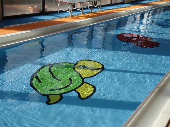 倉敷総合屋内水泳センター 新田教室のサムネイル画像 3