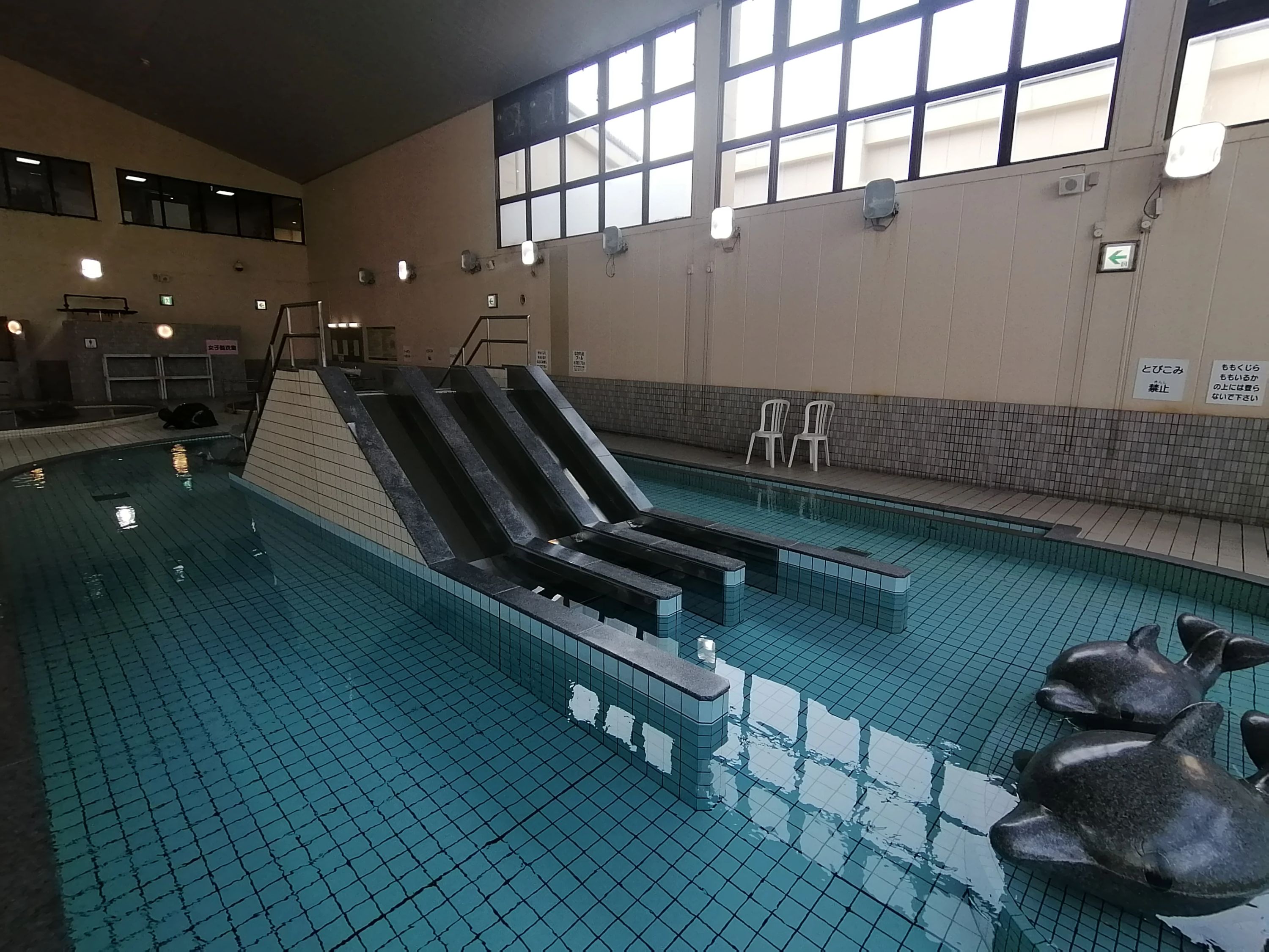 大家族スイミングスクール 久米教室のサムネイル画像 3