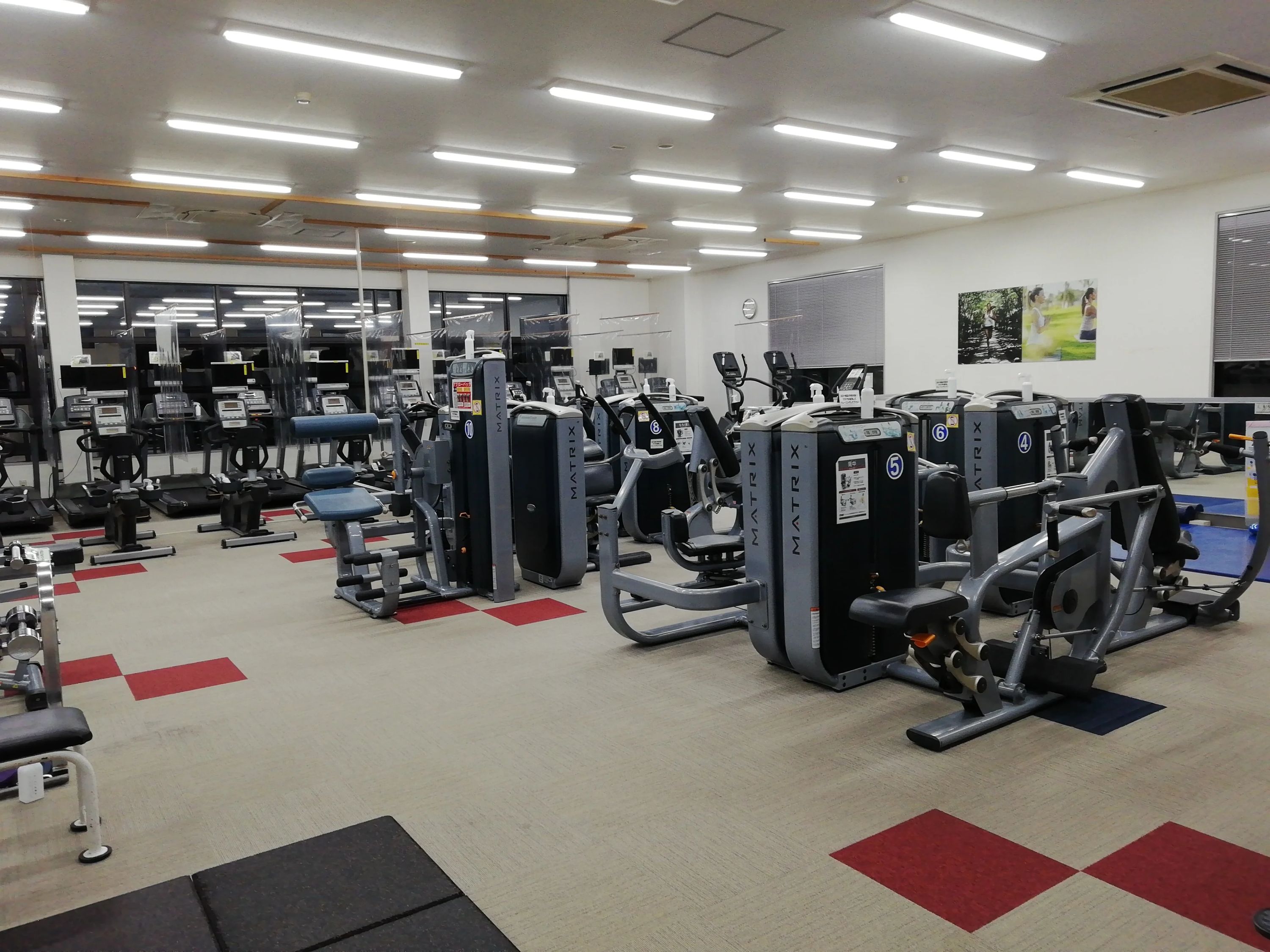 エンジョイ スイミング・水泳 笠岡のサムネイル画像 2