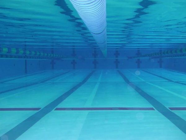 RENAISSANCE(ルネサンス) スイミング・水泳 福山多治米のサムネイル画像 4