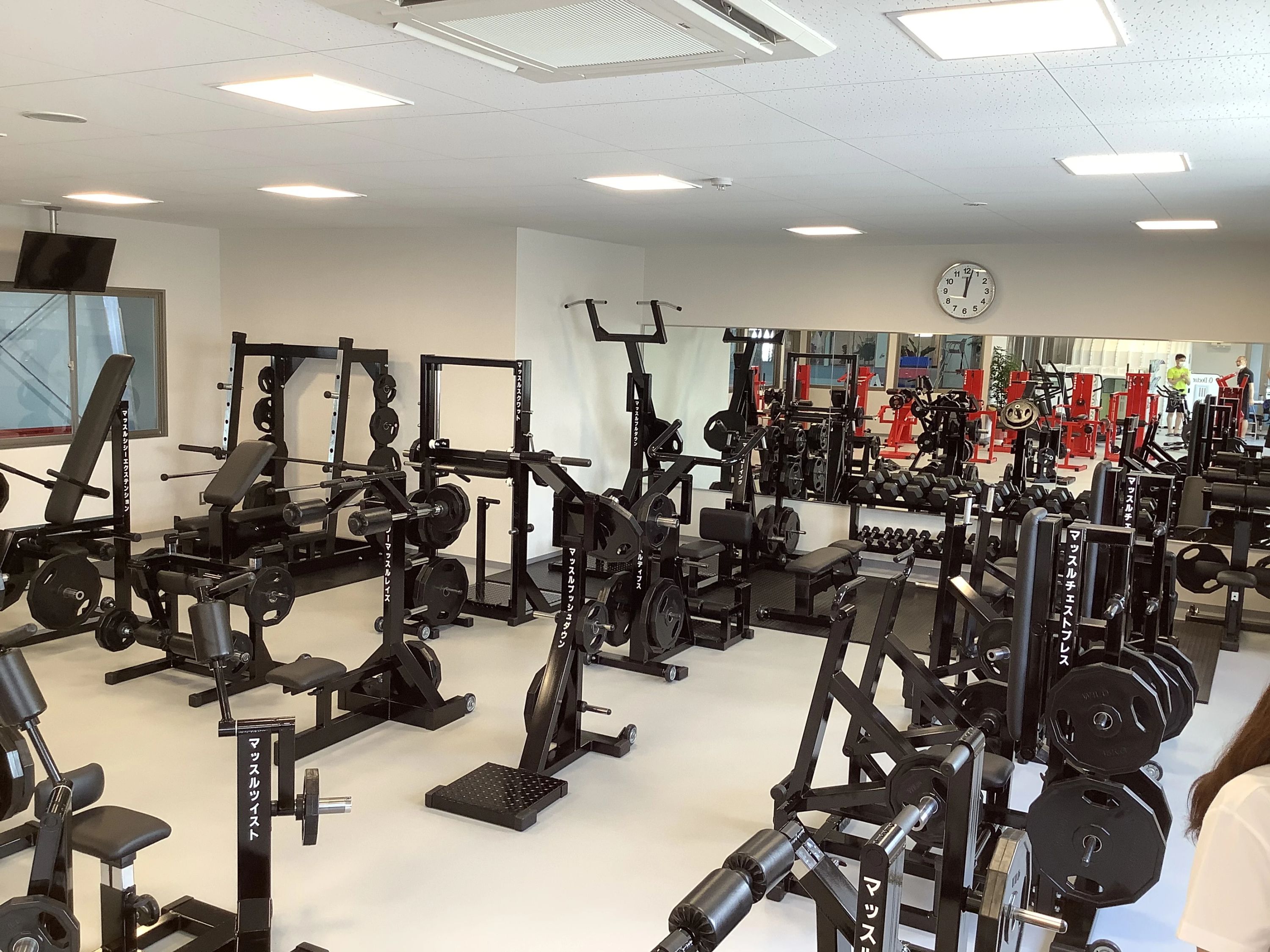 WAM(ワム)オールアスリートステーション スイミング・水泳 香川町教室のサムネイル画像 4