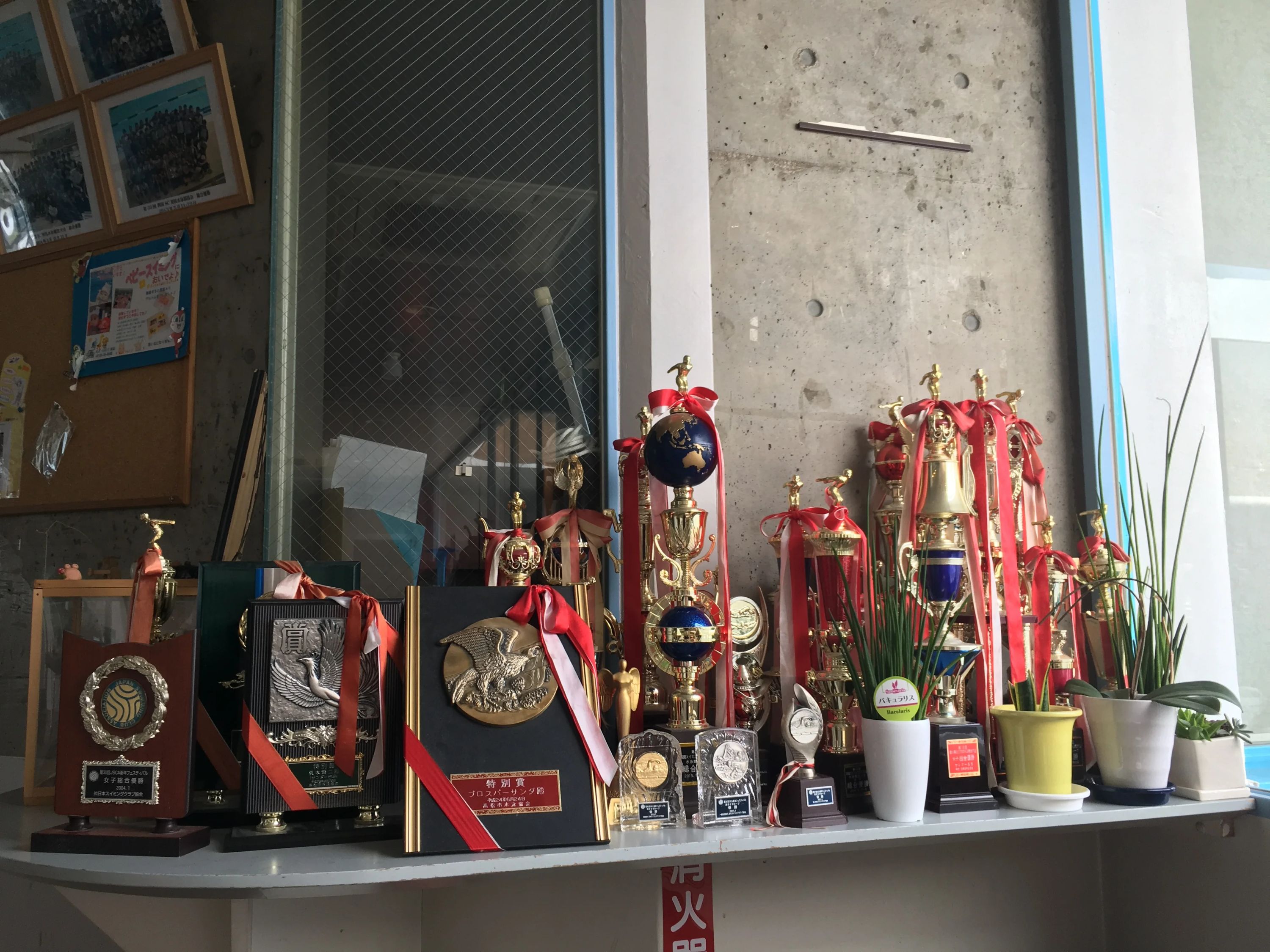 プロスパークラブサンダ スイミング・水泳 高松店のサムネイル画像 5