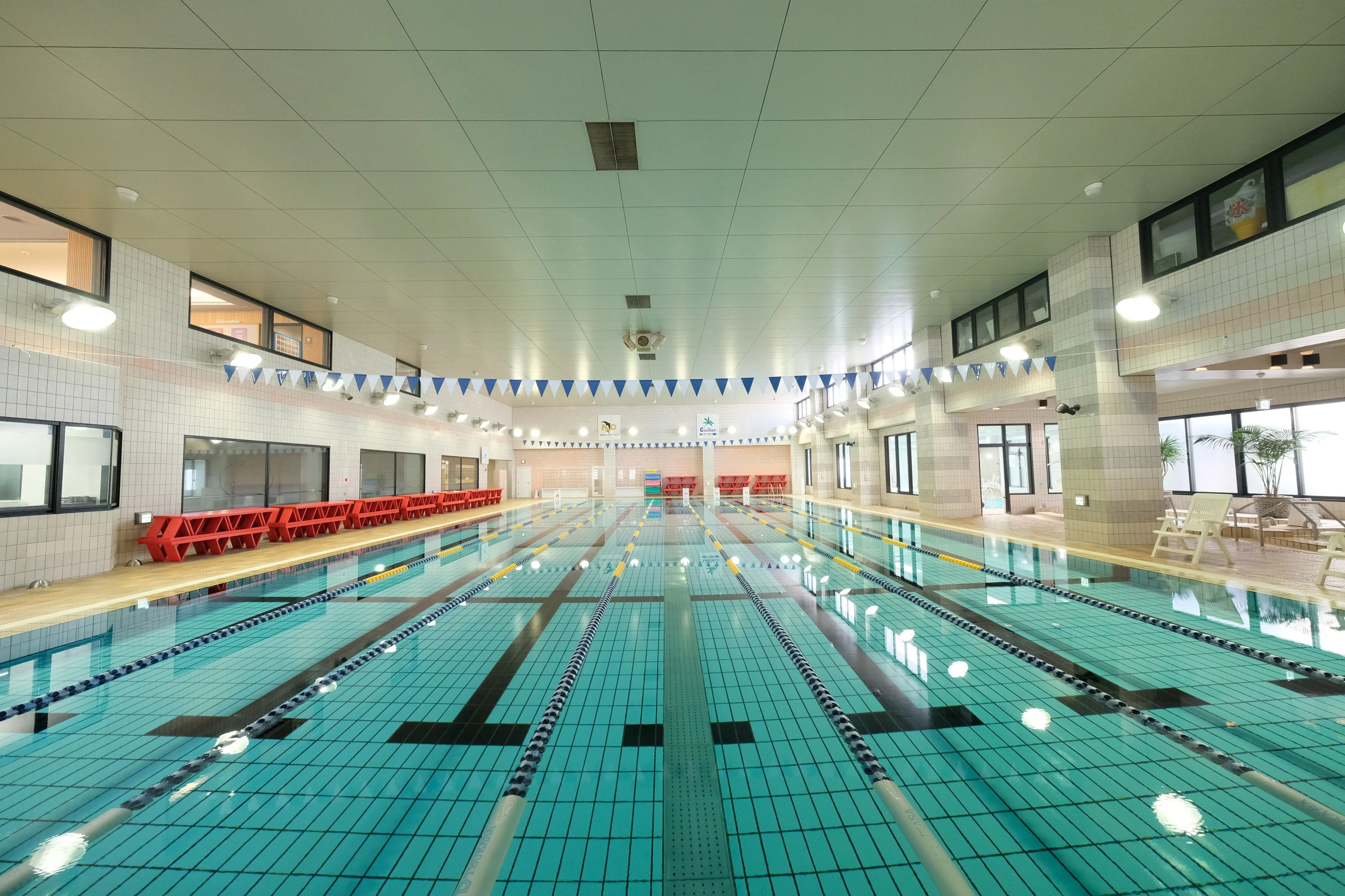 南海ドルフィンクラブ スイミング・水泳 朝生田のメイン画像