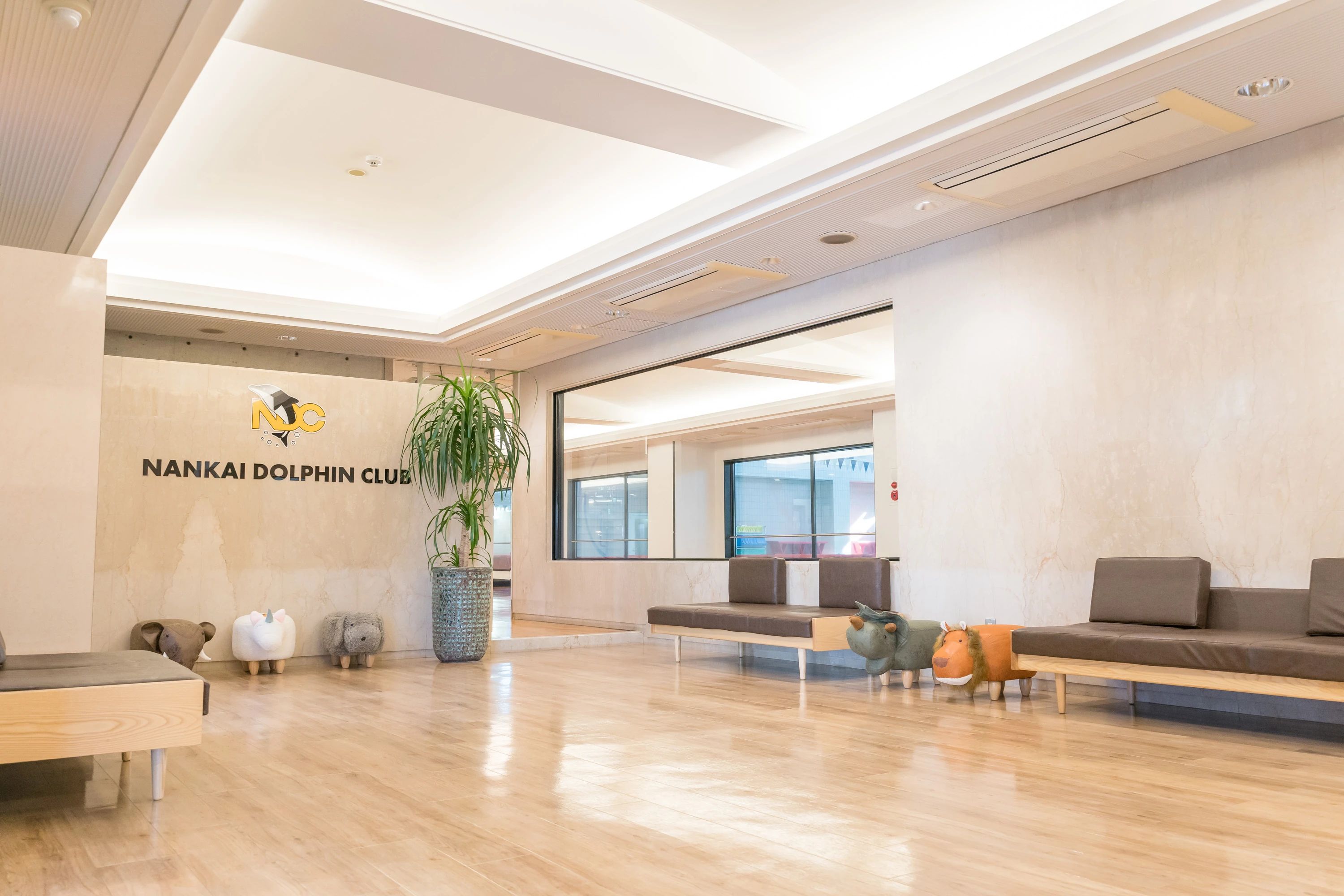 南海ドルフィンクラブ スイミング・水泳 朝生田のサムネイル画像 2