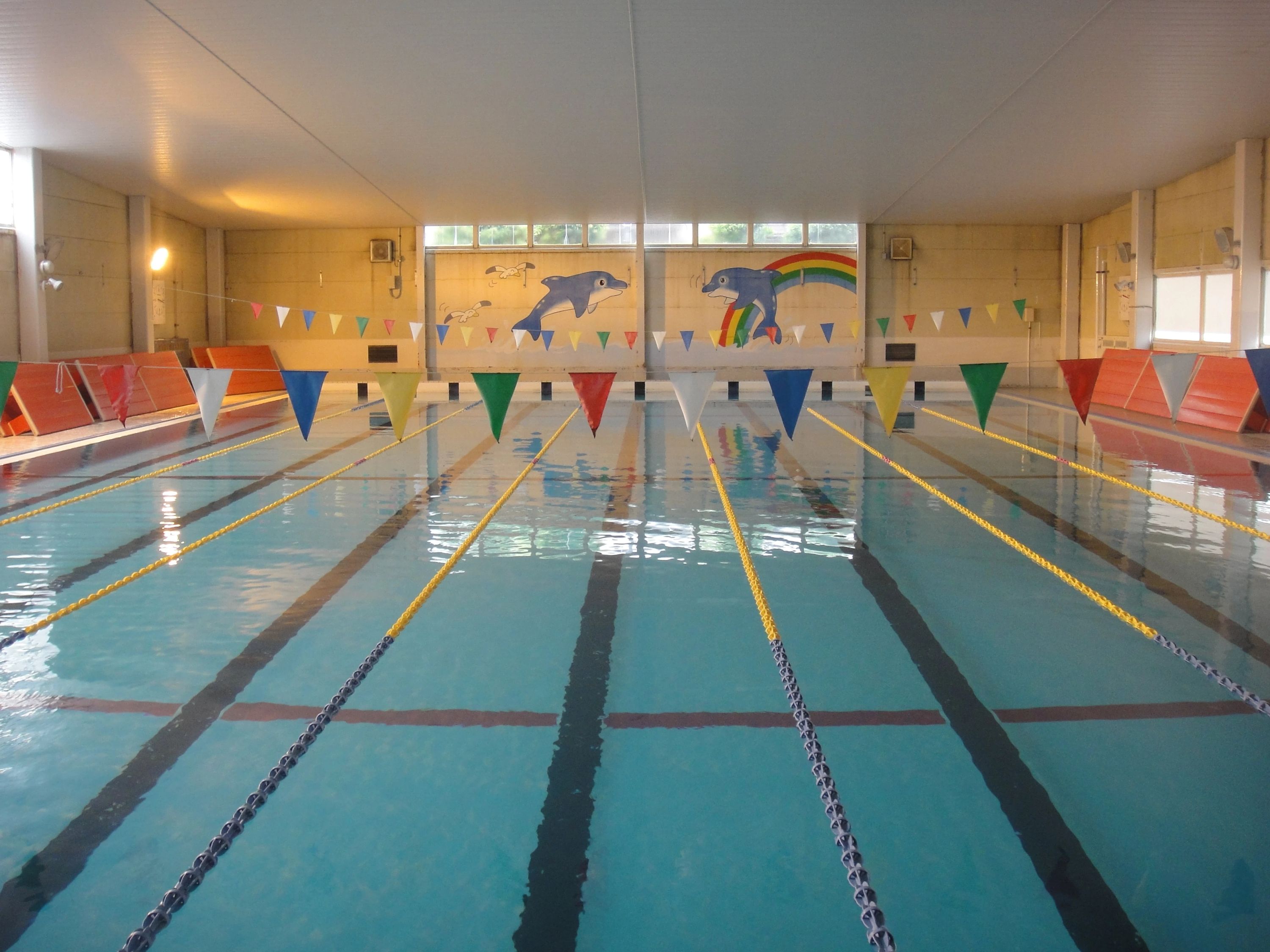 ファイブテン スイミング・水泳 新居浜のメイン画像