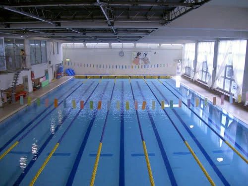 みかづきスイミングスクール 中万々教室のサムネイル画像 2