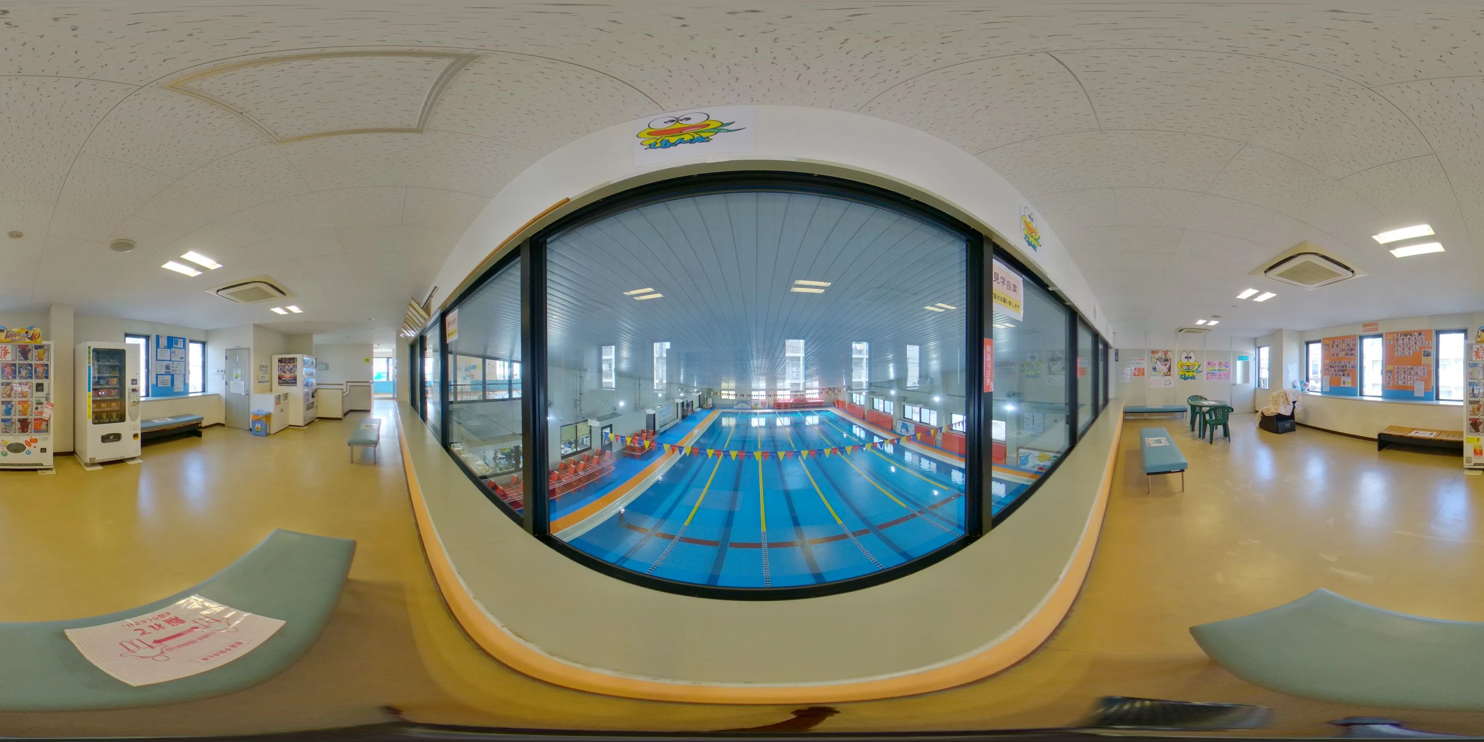 つくし野スイミングクラブ 下大利教室のサムネイル画像 3