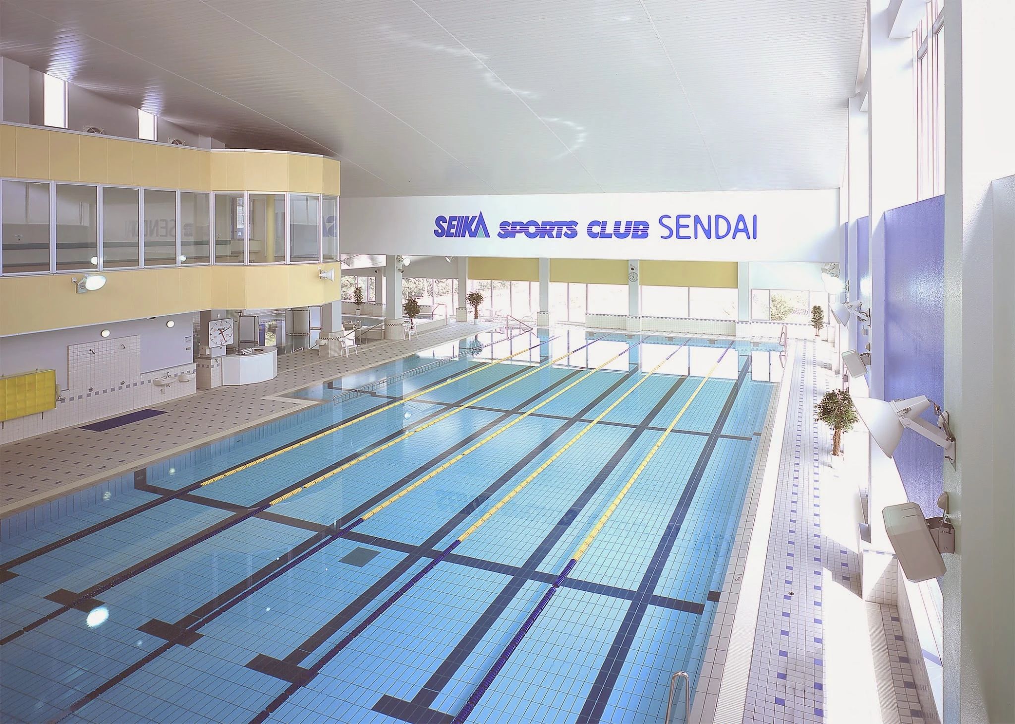 SEIKASPORTSCLUB(セイカスポーツクラブ) スイミング・水泳 川内店のサムネイル画像 3