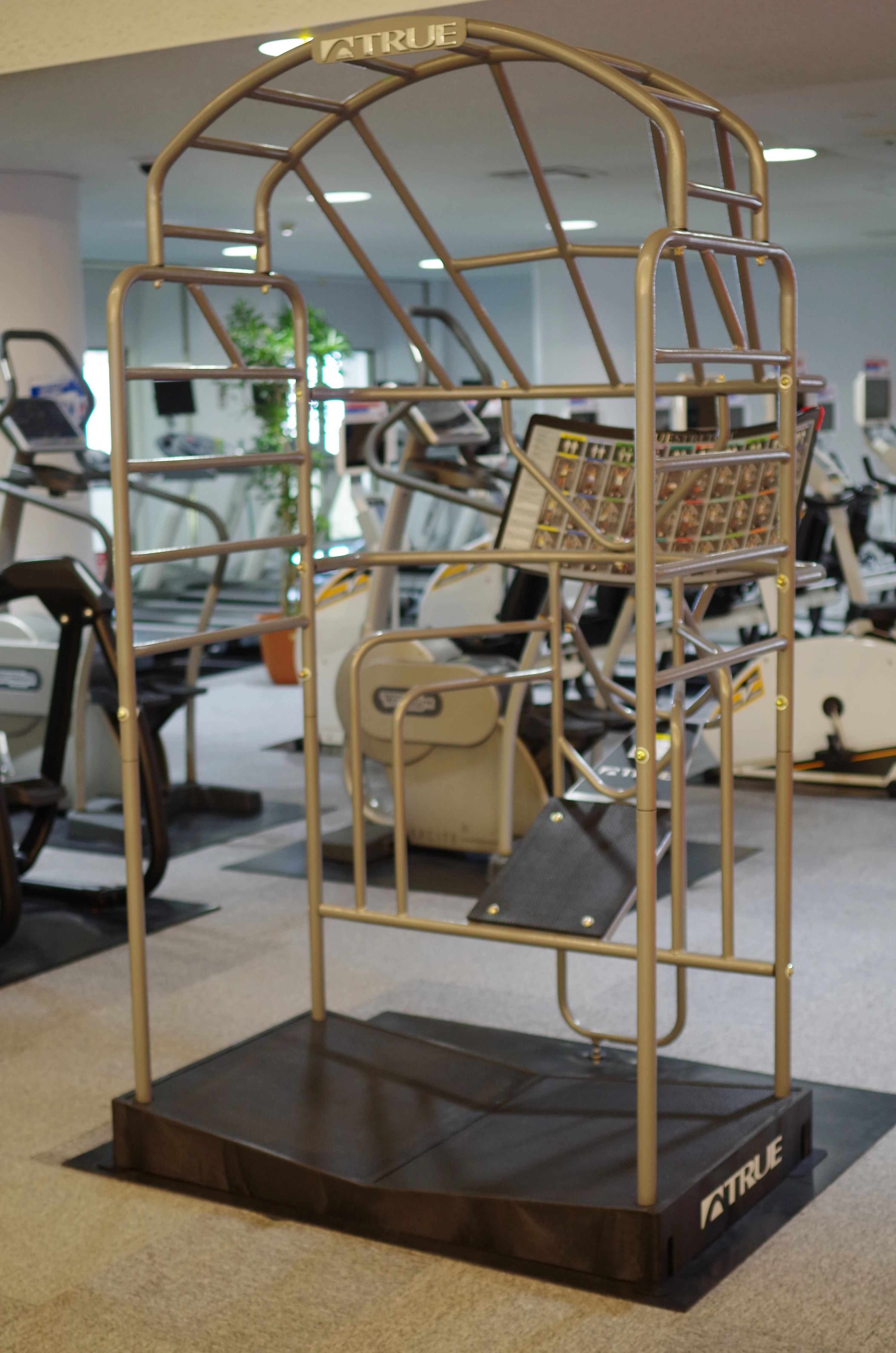 GULF(ガルフ)スポーツクラブ スイミング・水泳 牧港のメイン画像