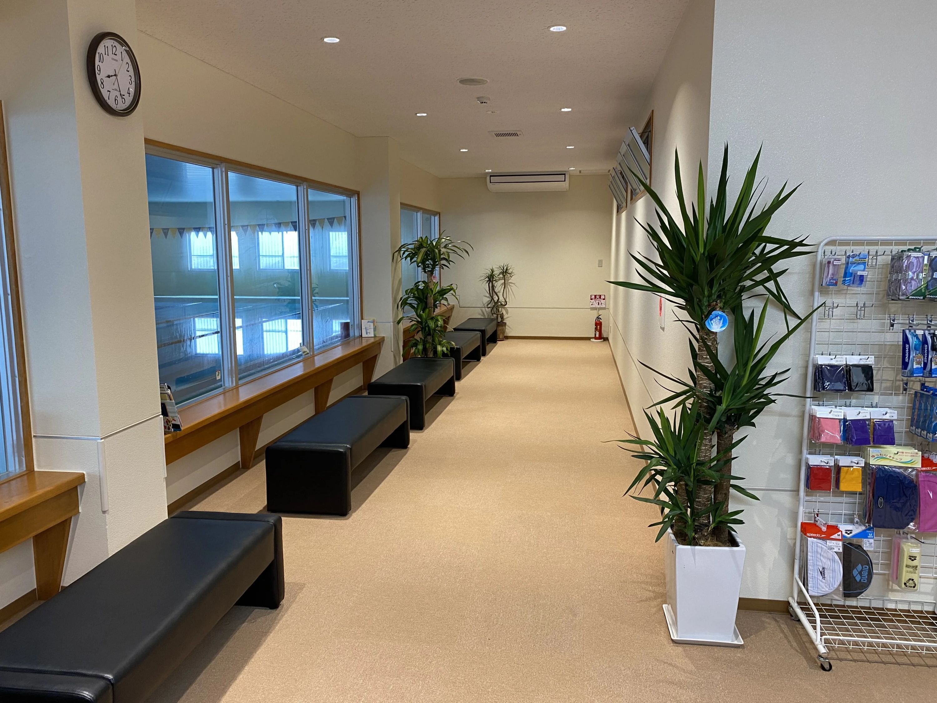 AQUASwimAcademy(アクアスイムアカデミー) スイミング・水泳 八重瀬のメイン画像