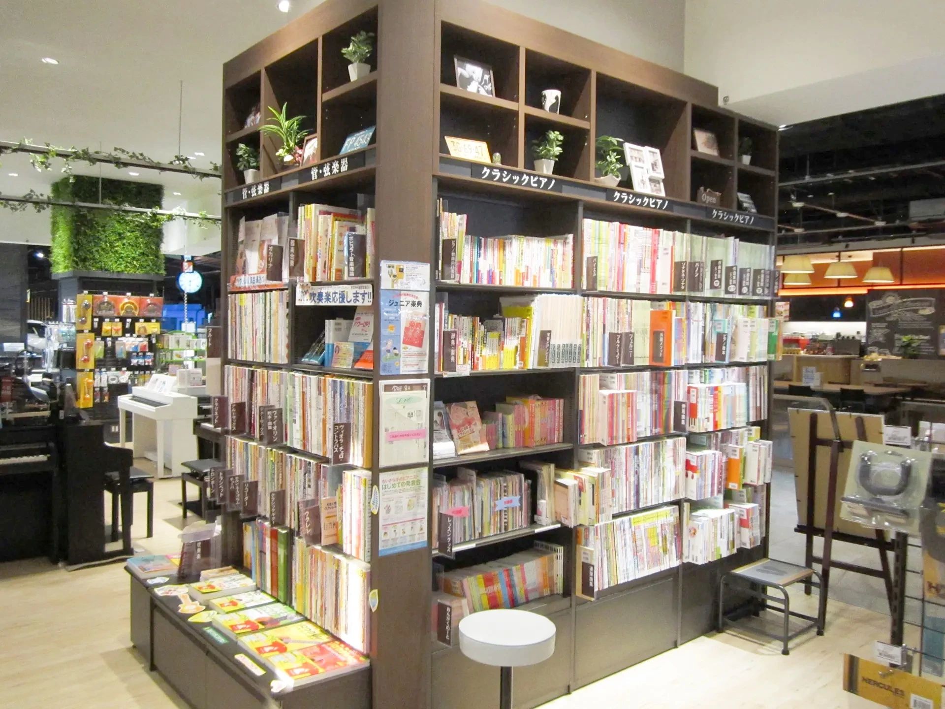 島村楽器の音楽教室 THE OUTLETS HIROSHIMA店 エレキギターのメイン画像