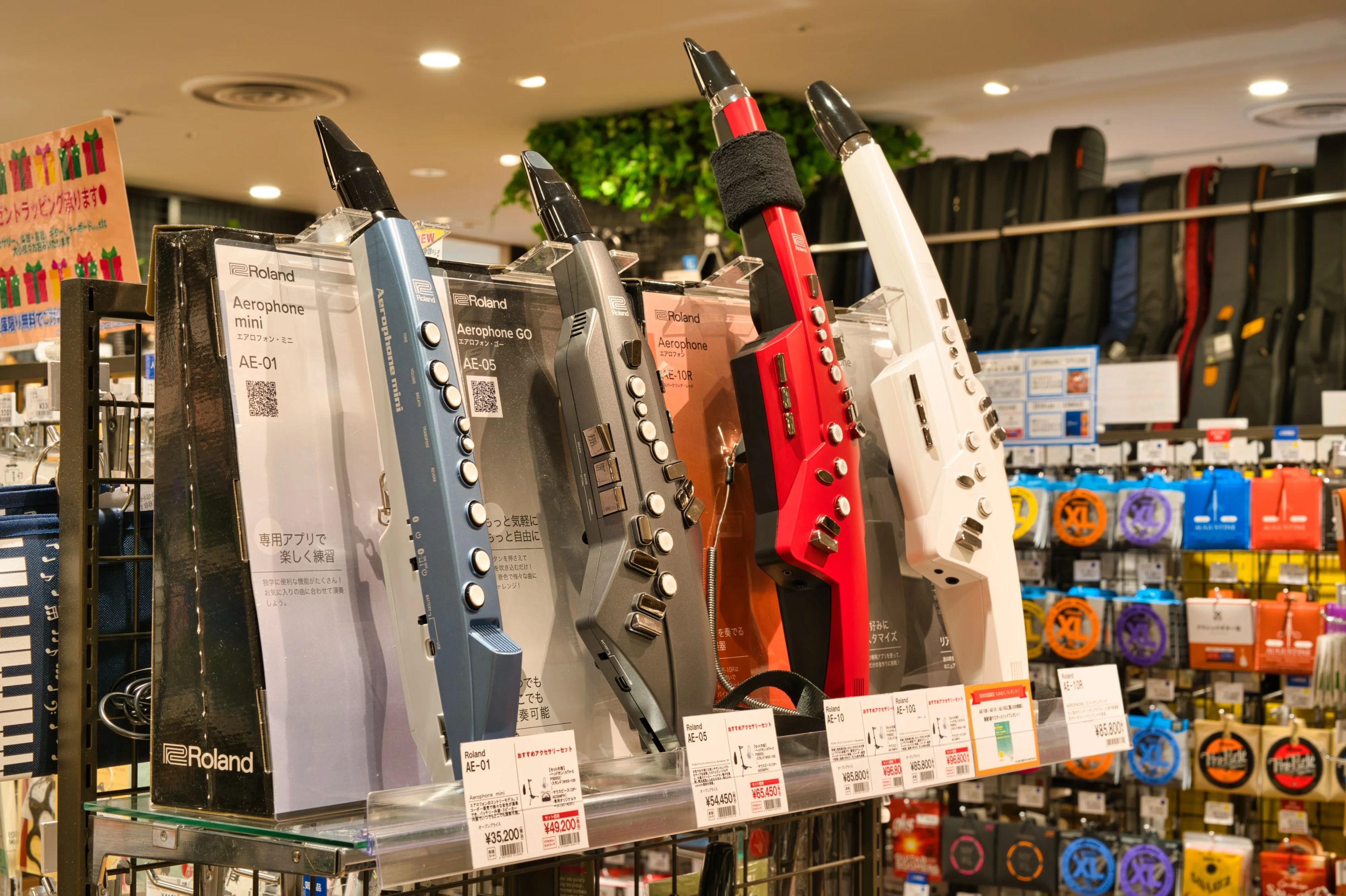 島村楽器の音楽教室 セレオ国分寺店 フルートのサムネイル画像 5