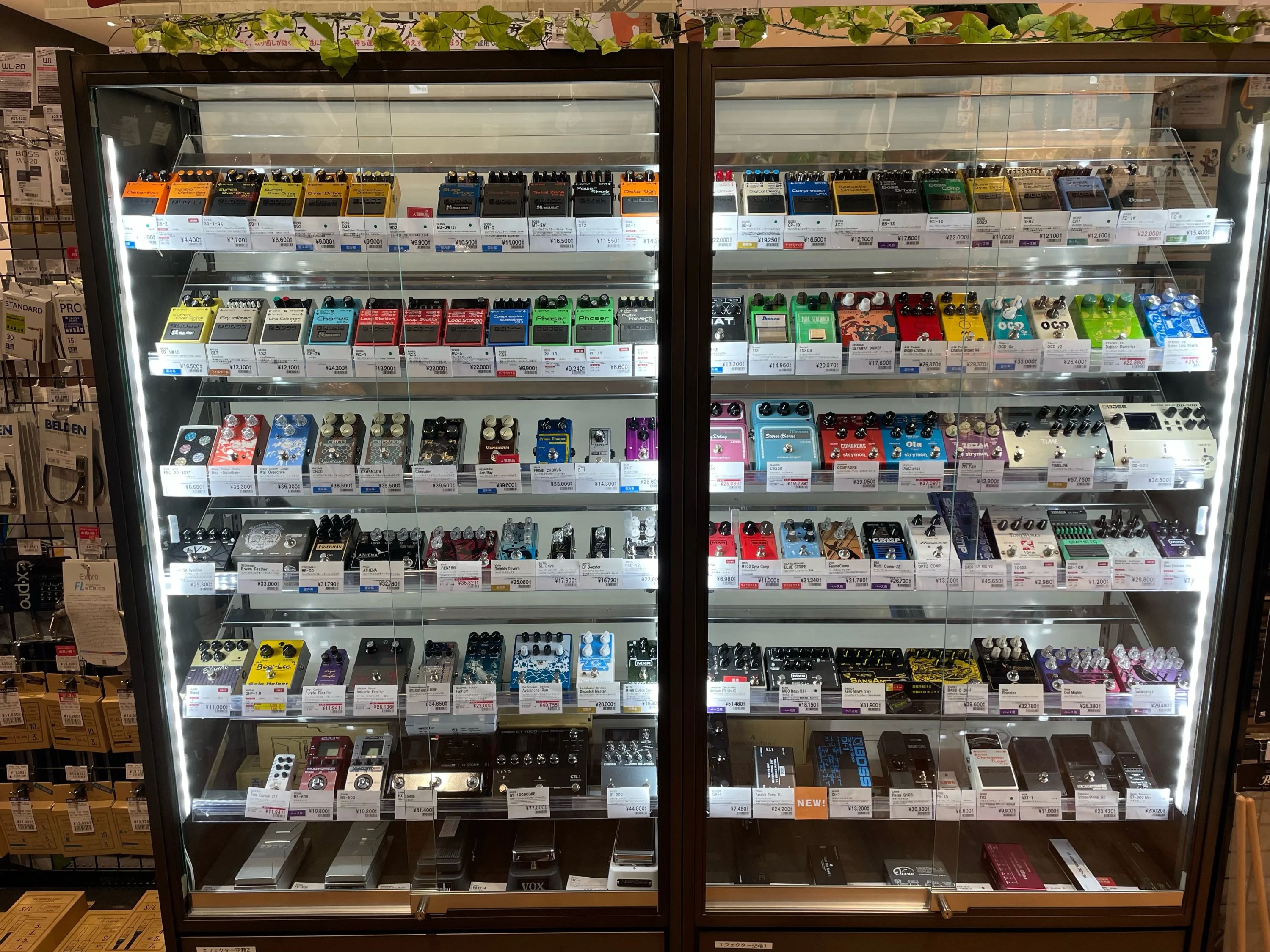 島村楽器の音楽教室 名古屋mozoオーパ店 キッズギターのサムネイル画像 4