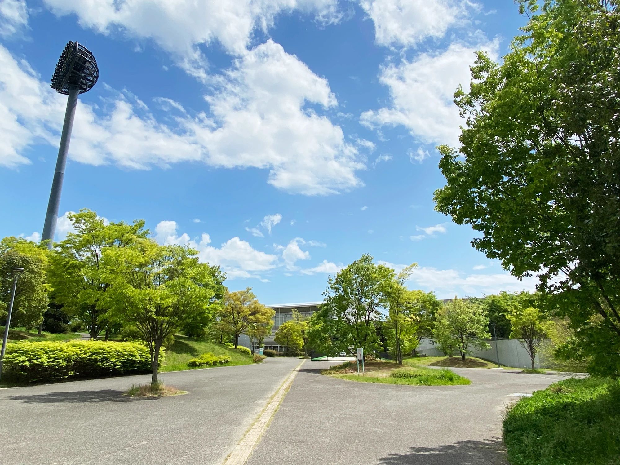 Revearc sports(レヴァークスポーツ) 運動・体操・陸上 新田東教室のサムネイル画像 3