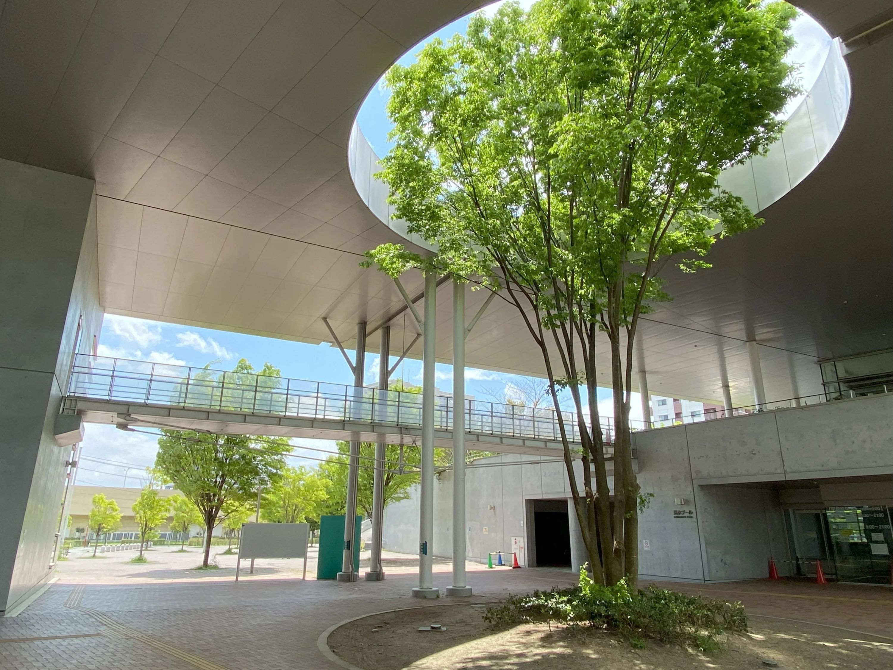 Revearc sports(レヴァークスポーツ) 運動・体操・陸上 新田東教室のサムネイル画像 5