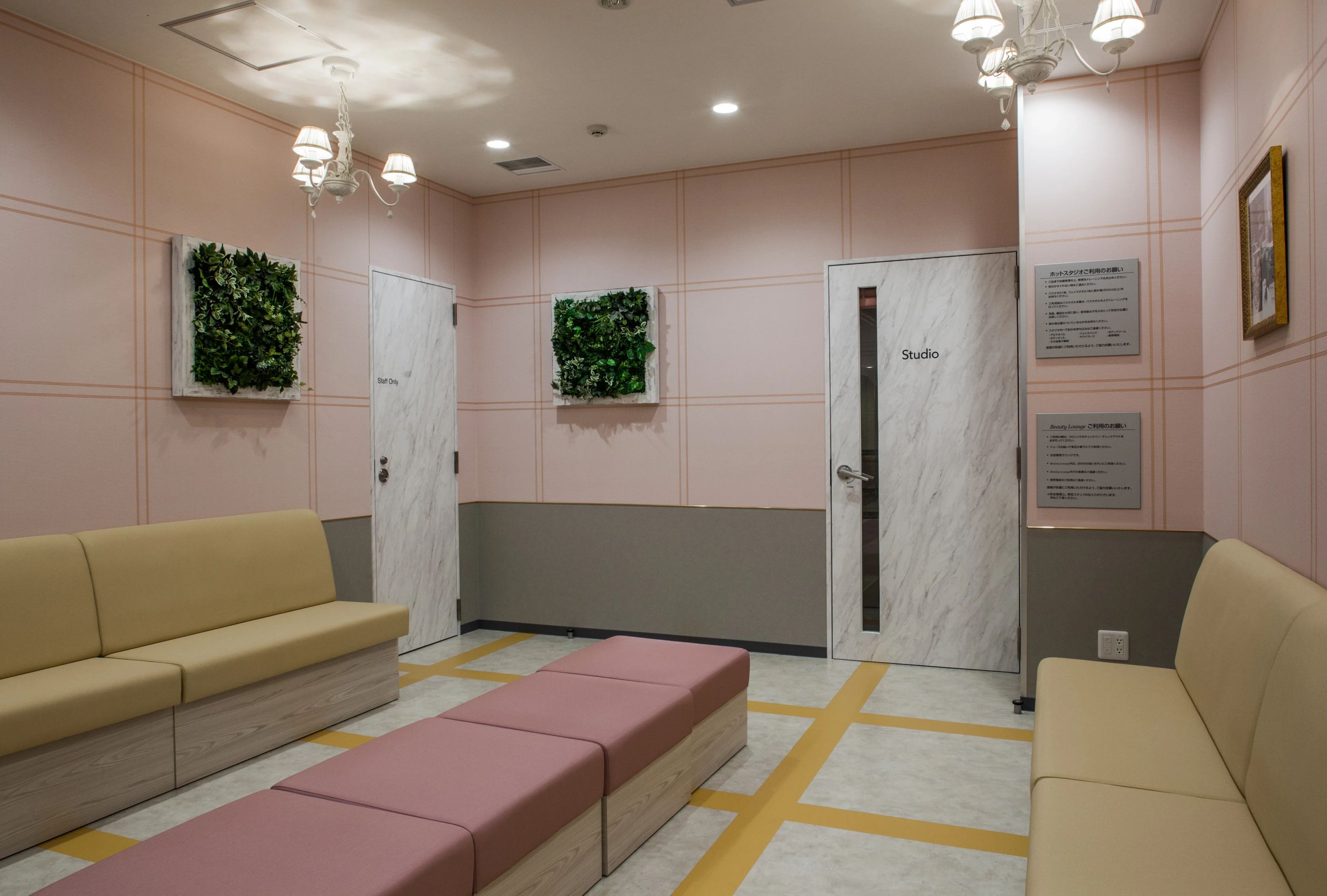 スポーツクラブNAS 運動・体操・陸上 篠崎のメイン画像