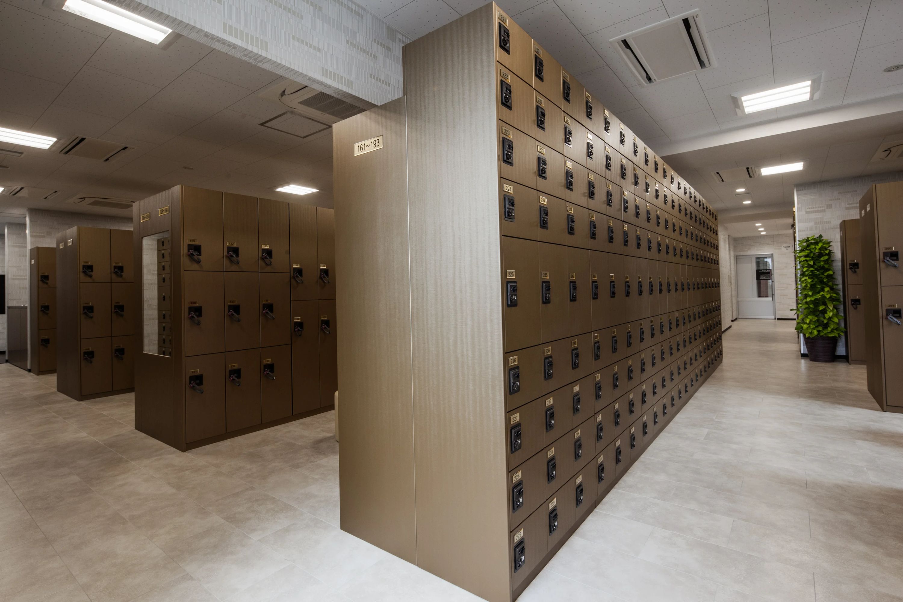 スポーツクラブNAS 運動・体操・陸上 篠崎のサムネイル画像 5